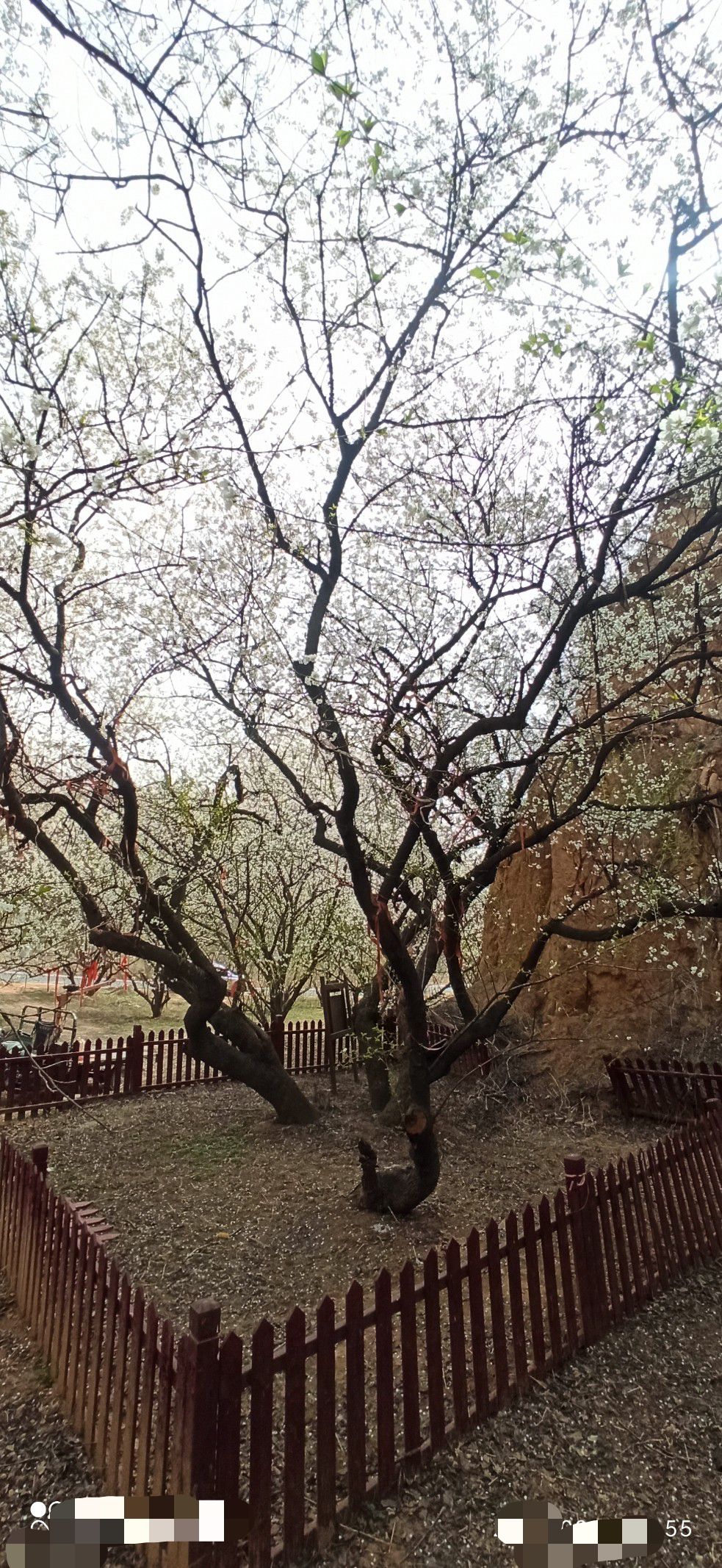 樱桃沟风景区旅行图片 3