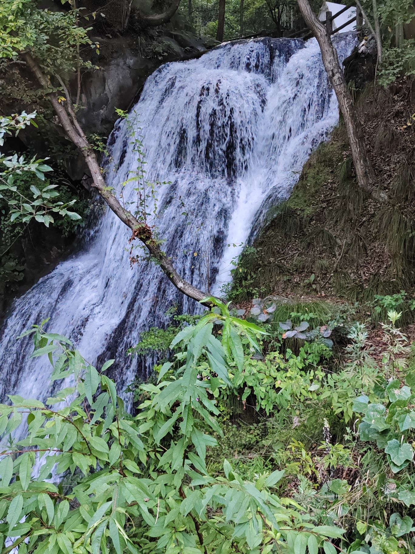重渡沟风景区旅行图片 3