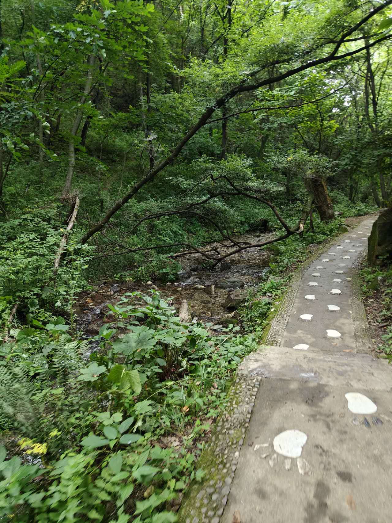 重渡沟风景区旅行图片 3