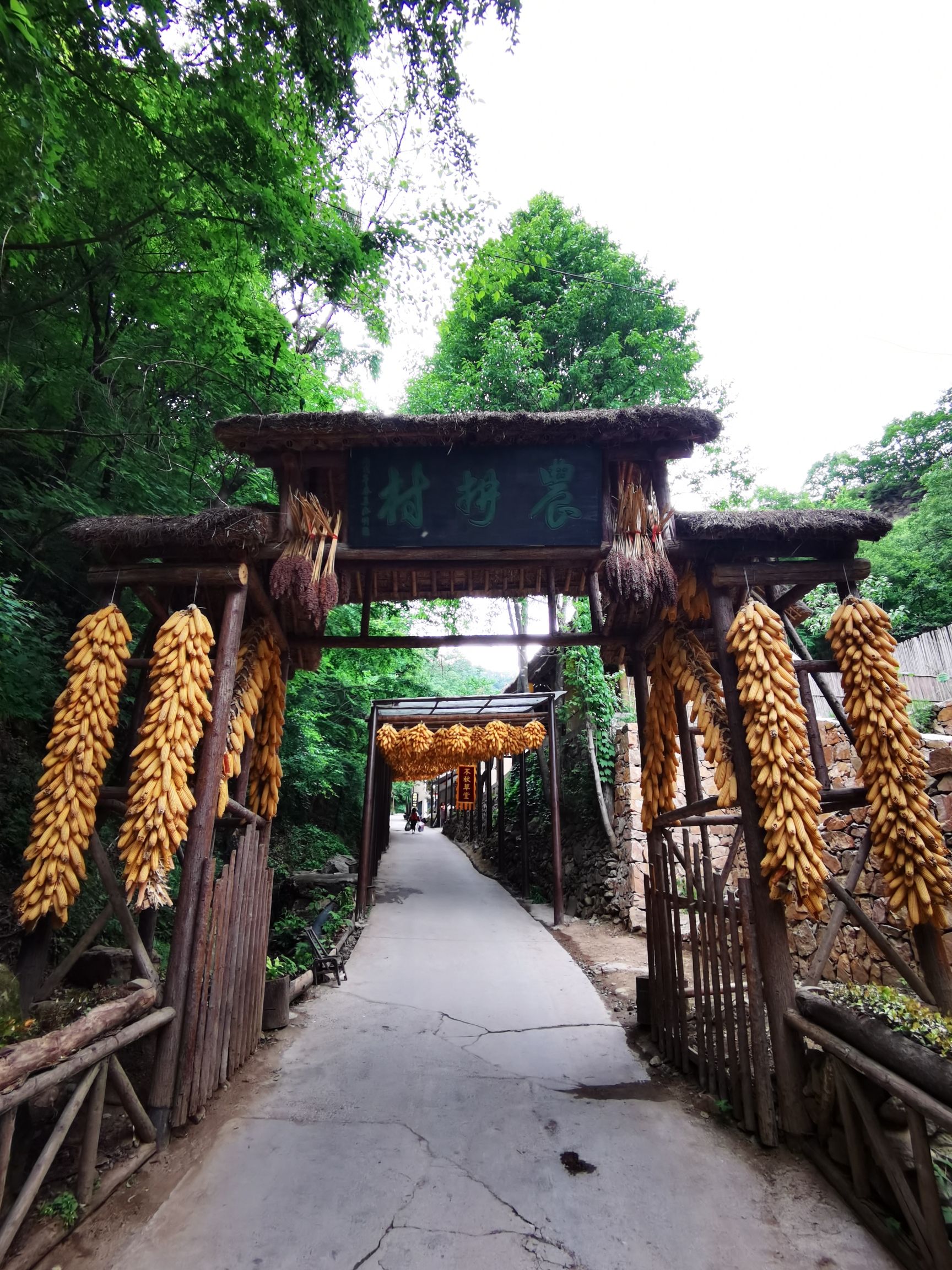 重渡沟风景区旅行图片 3