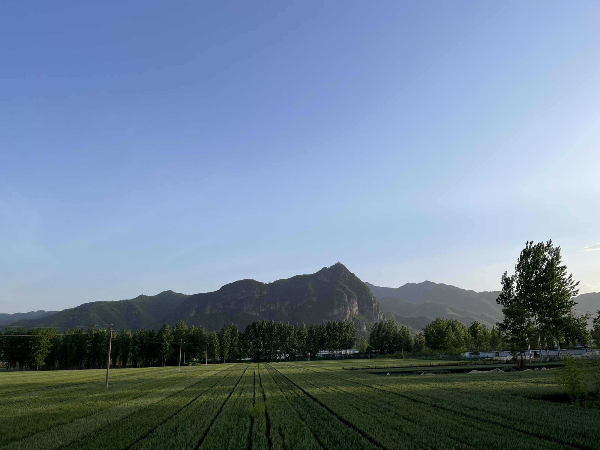 九龙山风景区