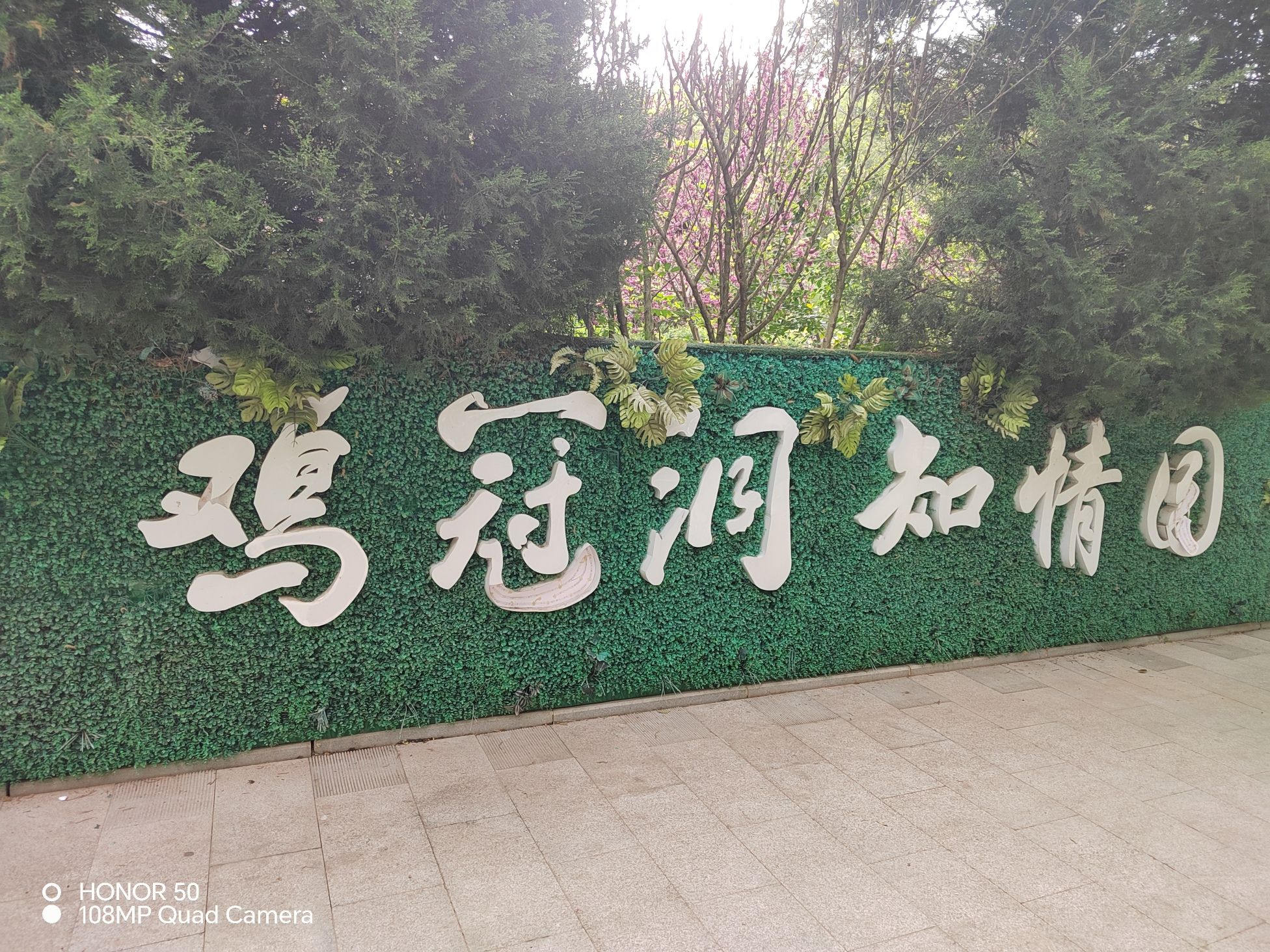 洛阳鸡冠洞风景名胜区旅行图片 1