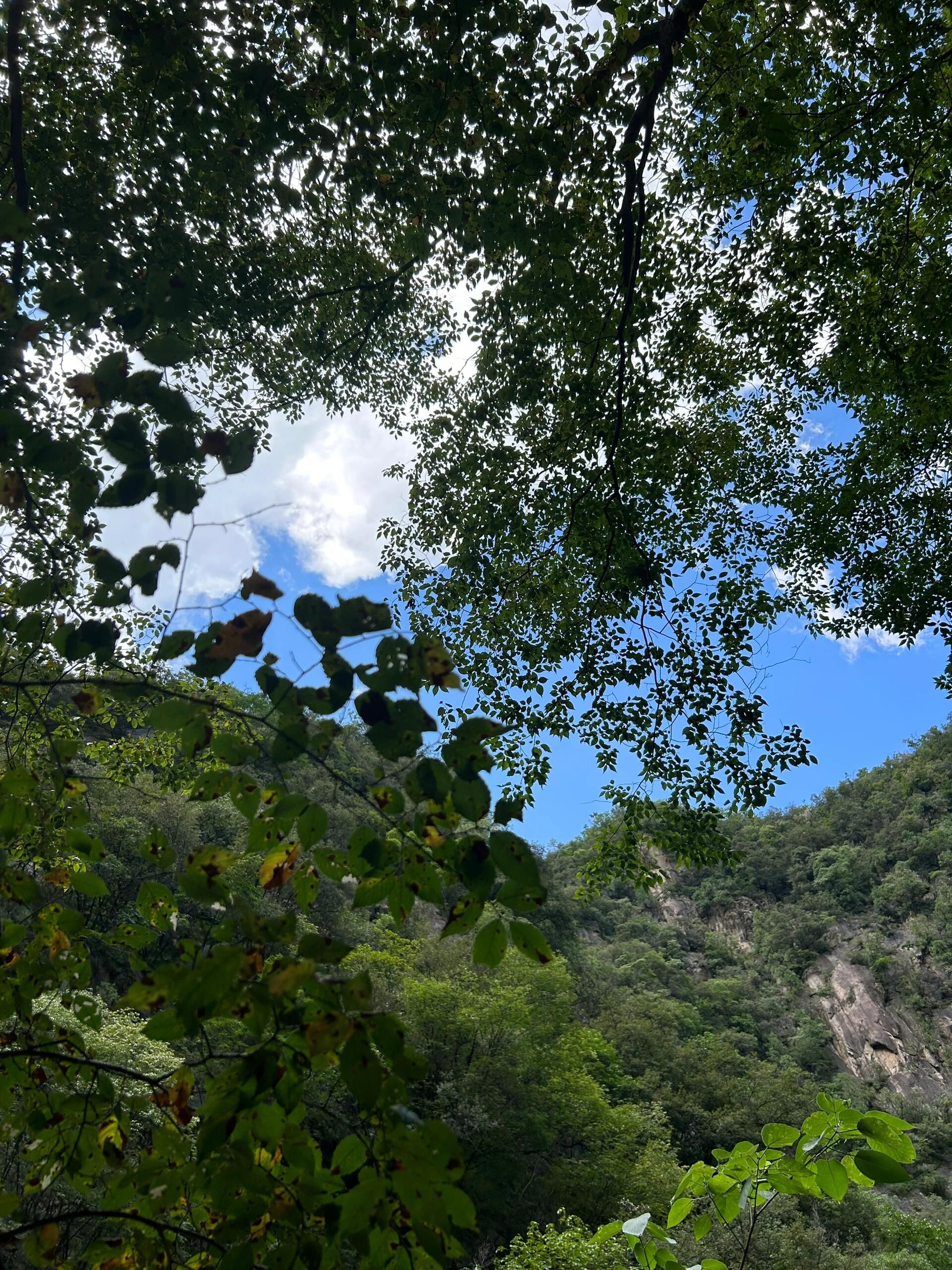 洛阳鸡冠洞风景名胜区旅行图片 2