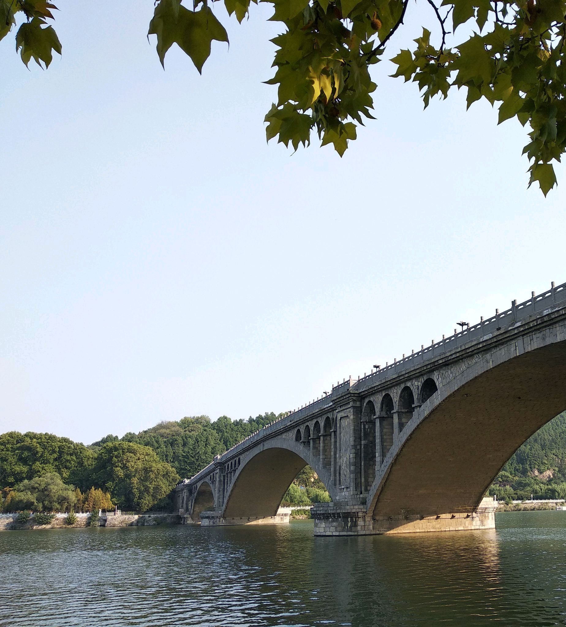 龙门山森林公园旅行图片 3