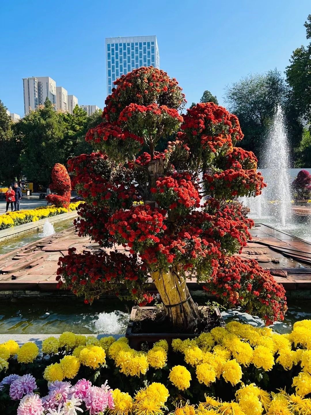 王城公园旅行图片 1