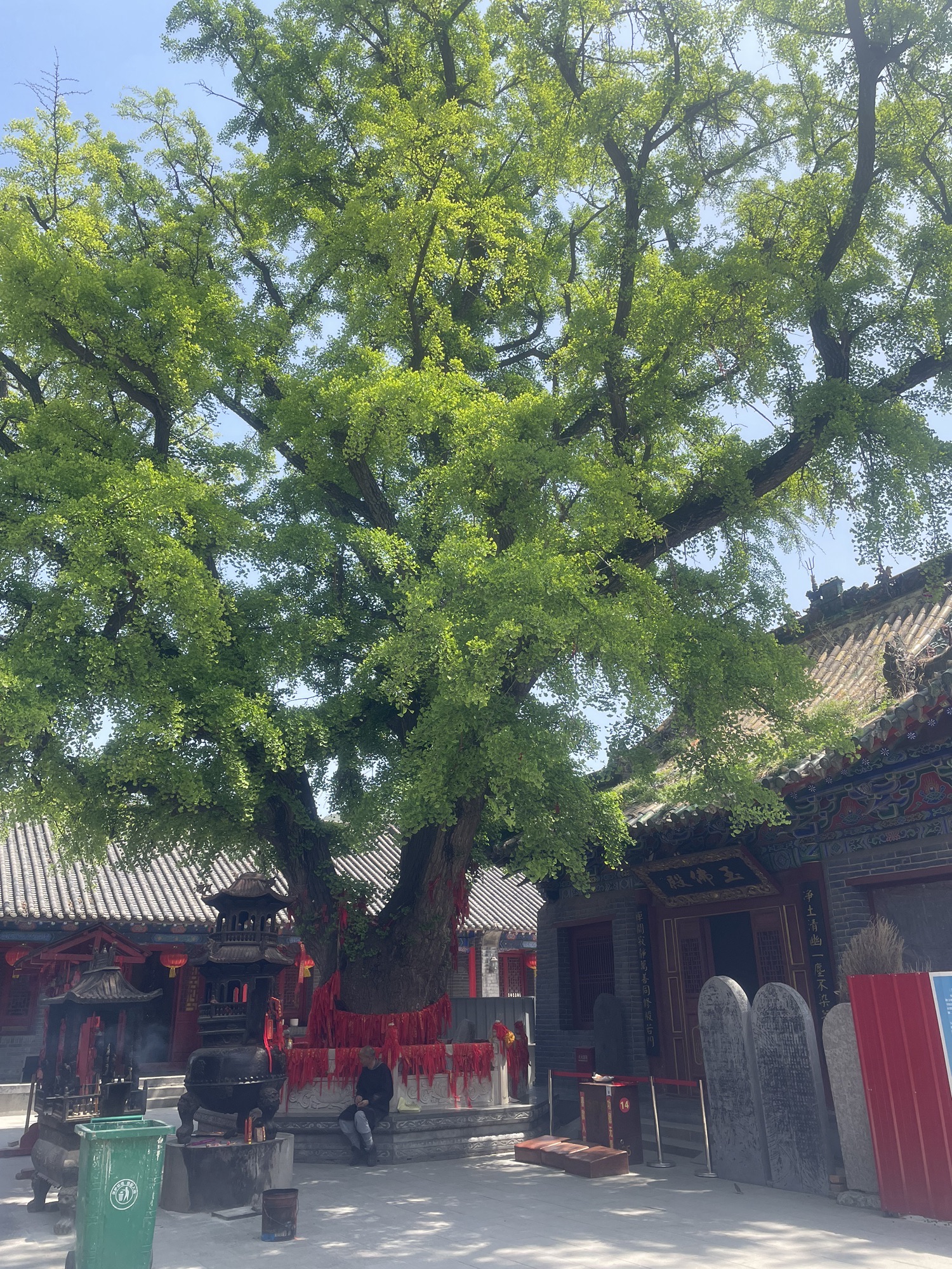 灵山风景区旅行图片 1