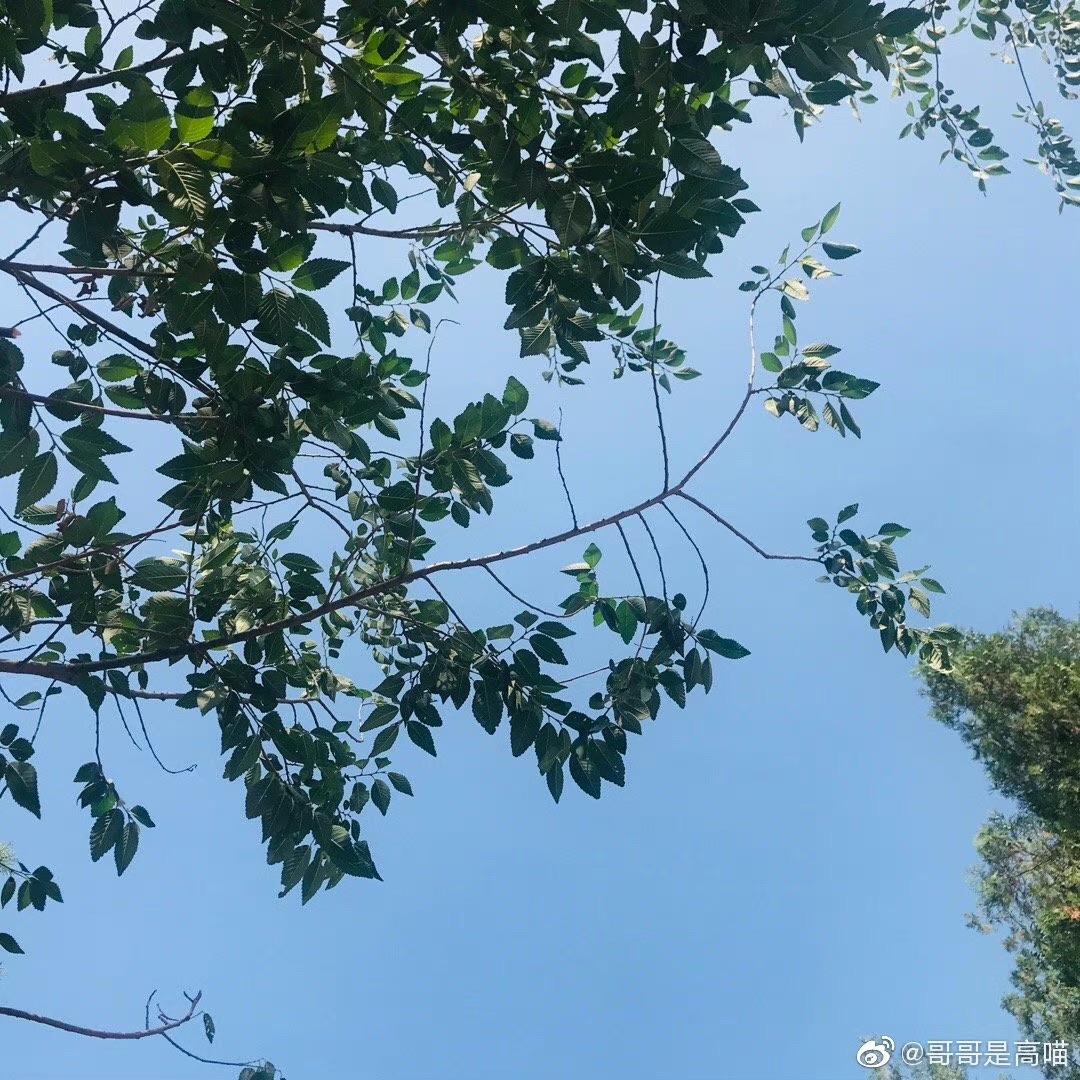 虎头山生态公园旅行图片 1