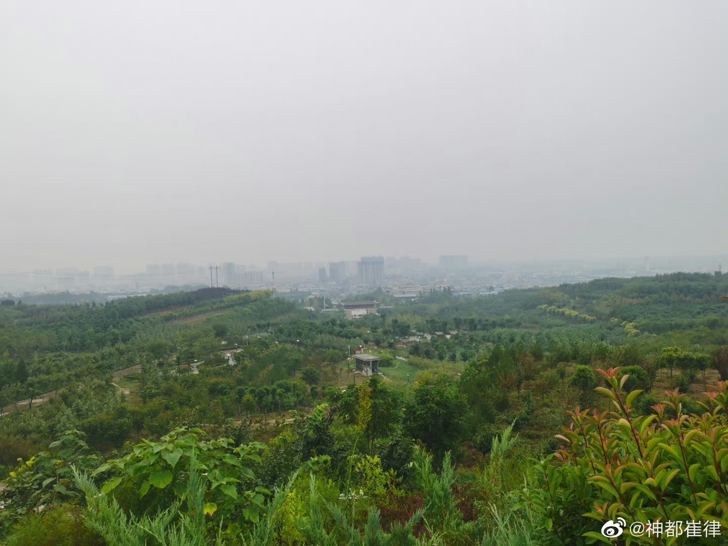 虎头山生态公园旅行图片 2