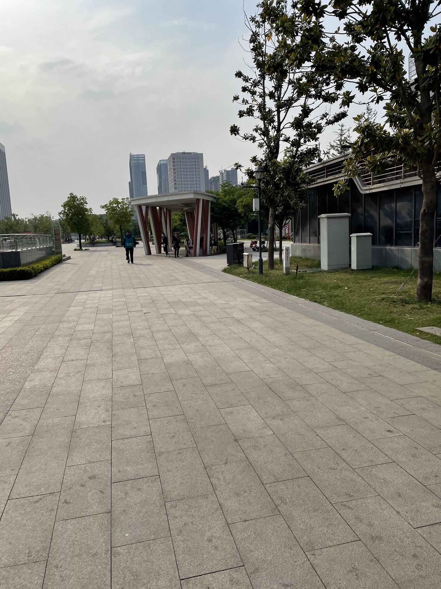 牡丹广场旅行图片 2