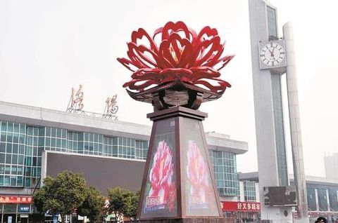 牡丹广场旅行图片 3