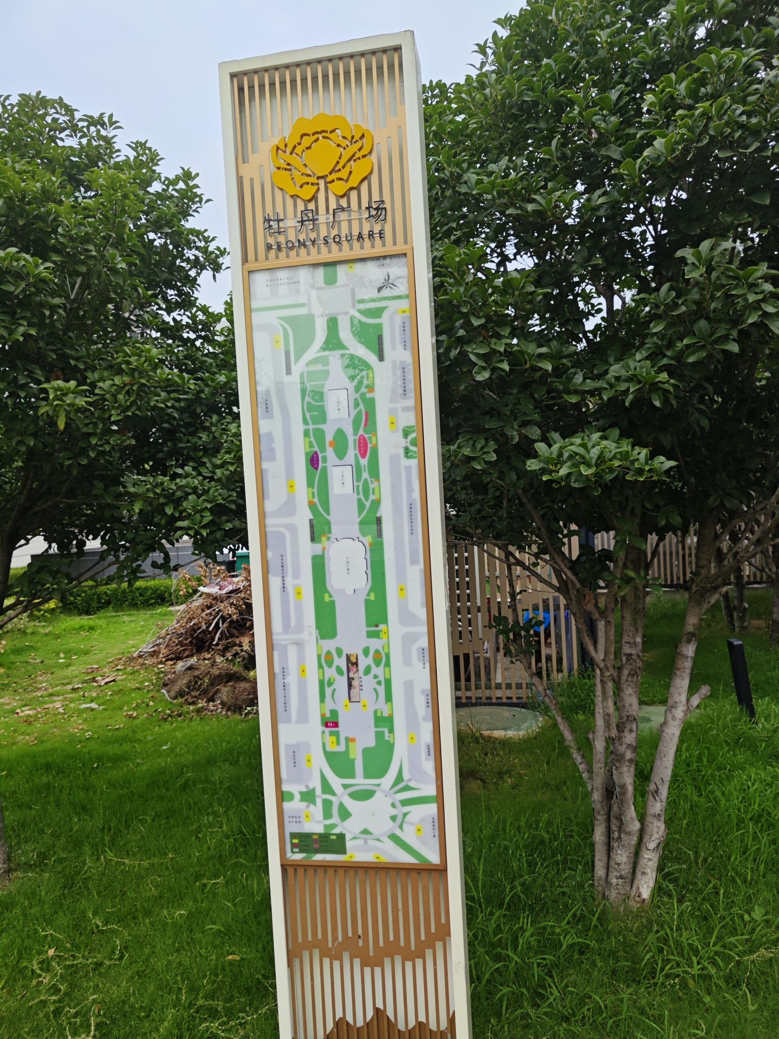 牡丹广场旅行图片 2