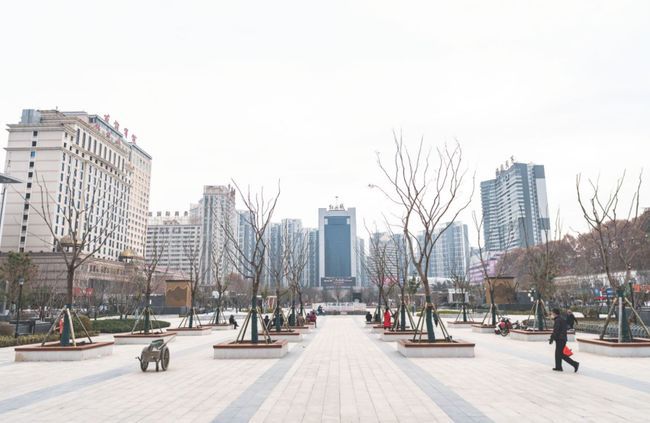 牡丹广场旅行图片 2