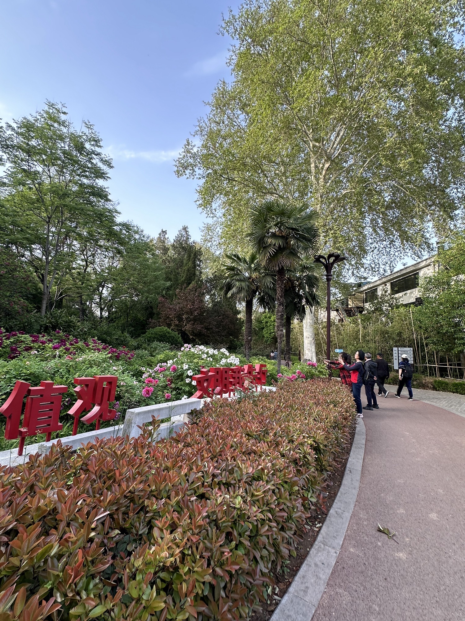牡丹公园旅行图片 3