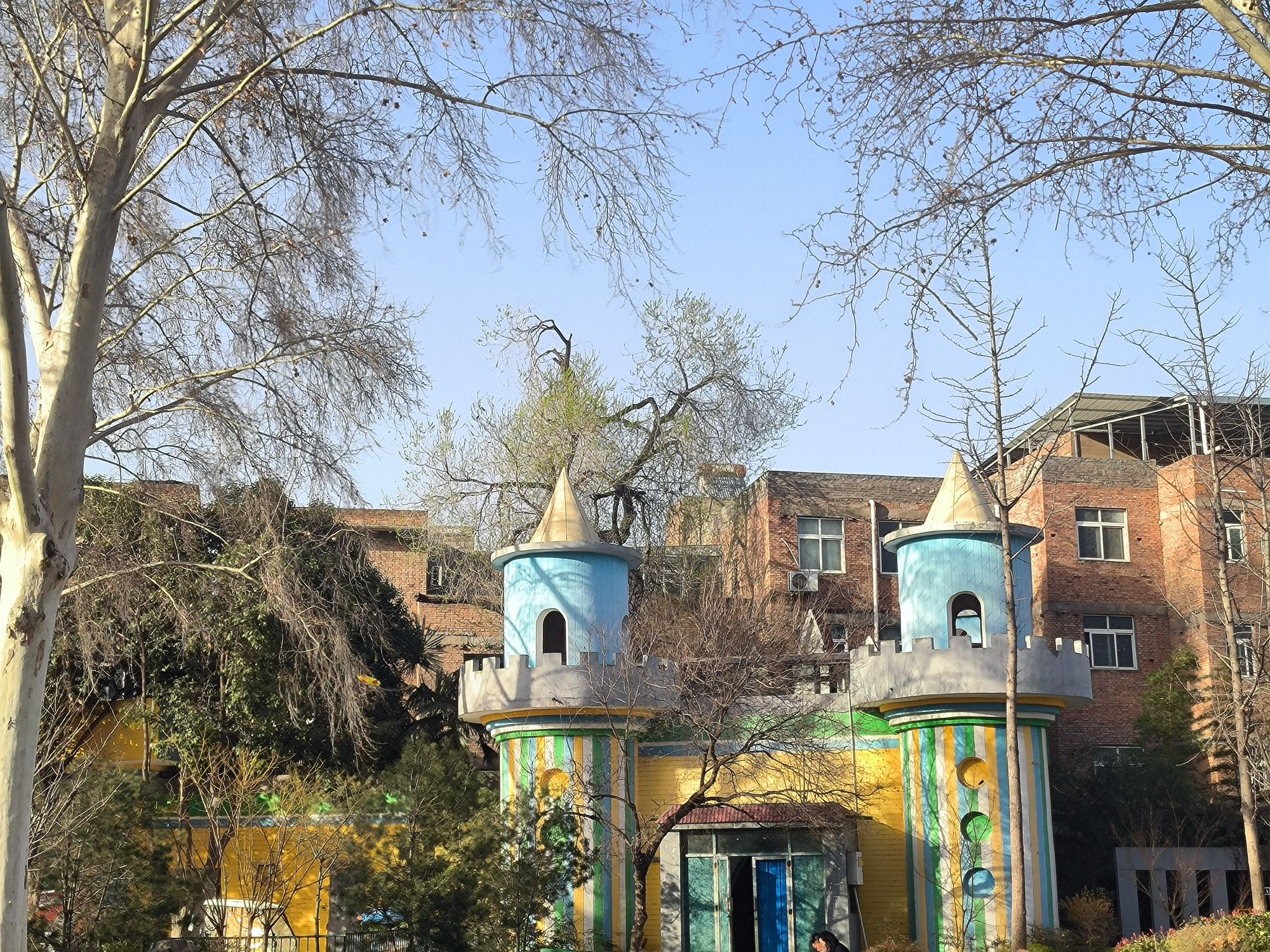 牡丹公园旅行图片 3