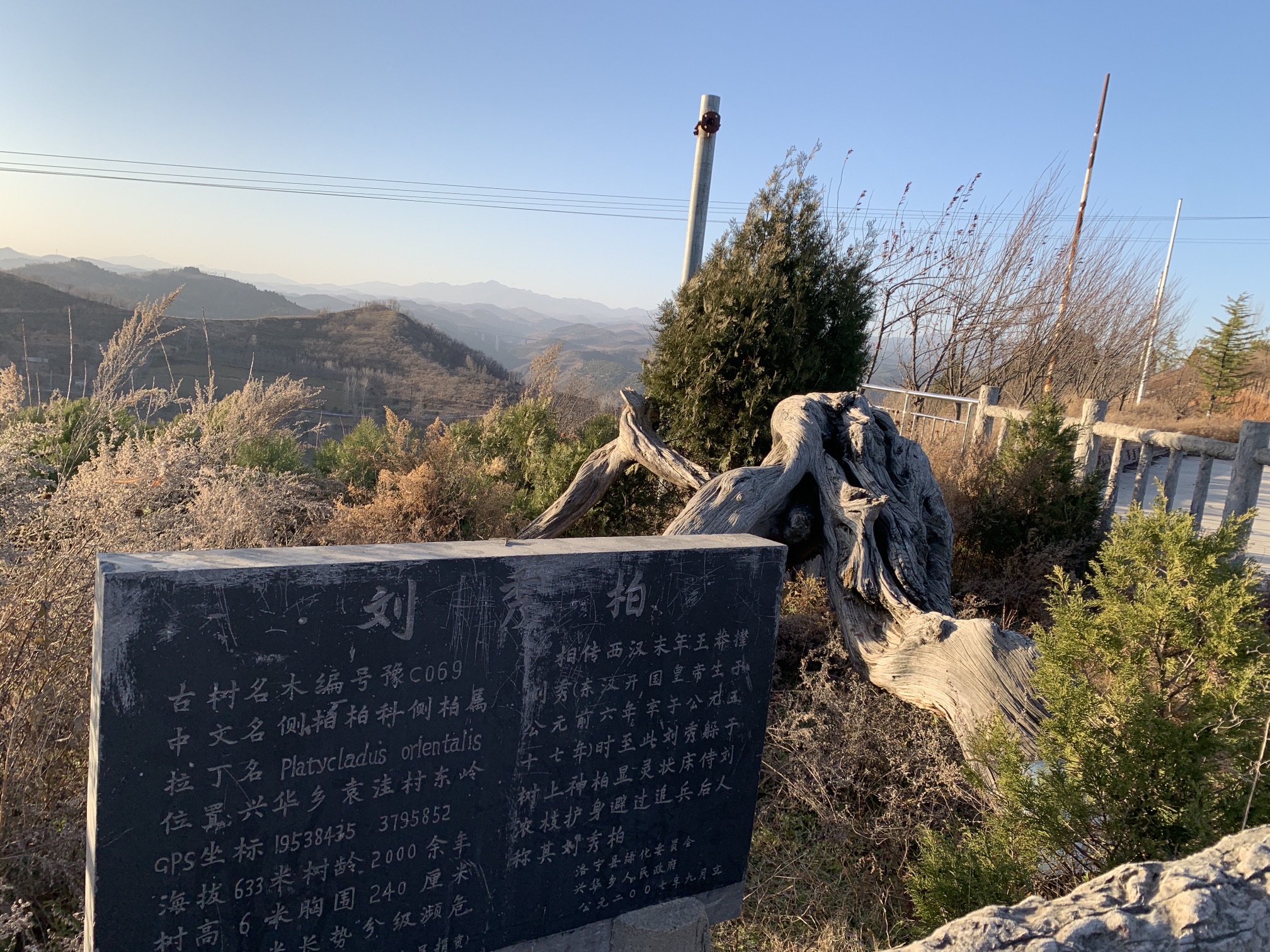 刘秀柏旅行图片 2