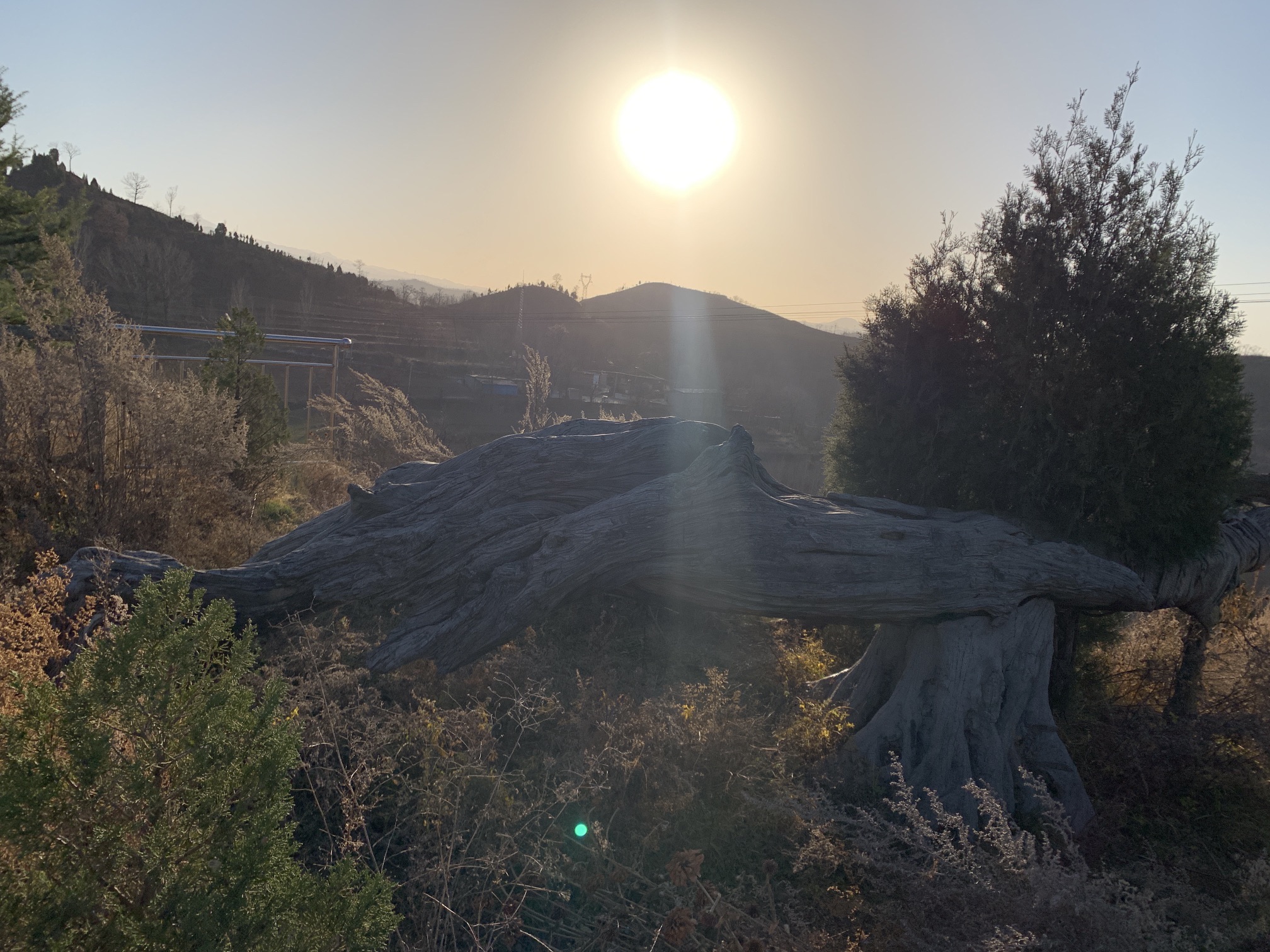 刘秀柏旅行图片 3