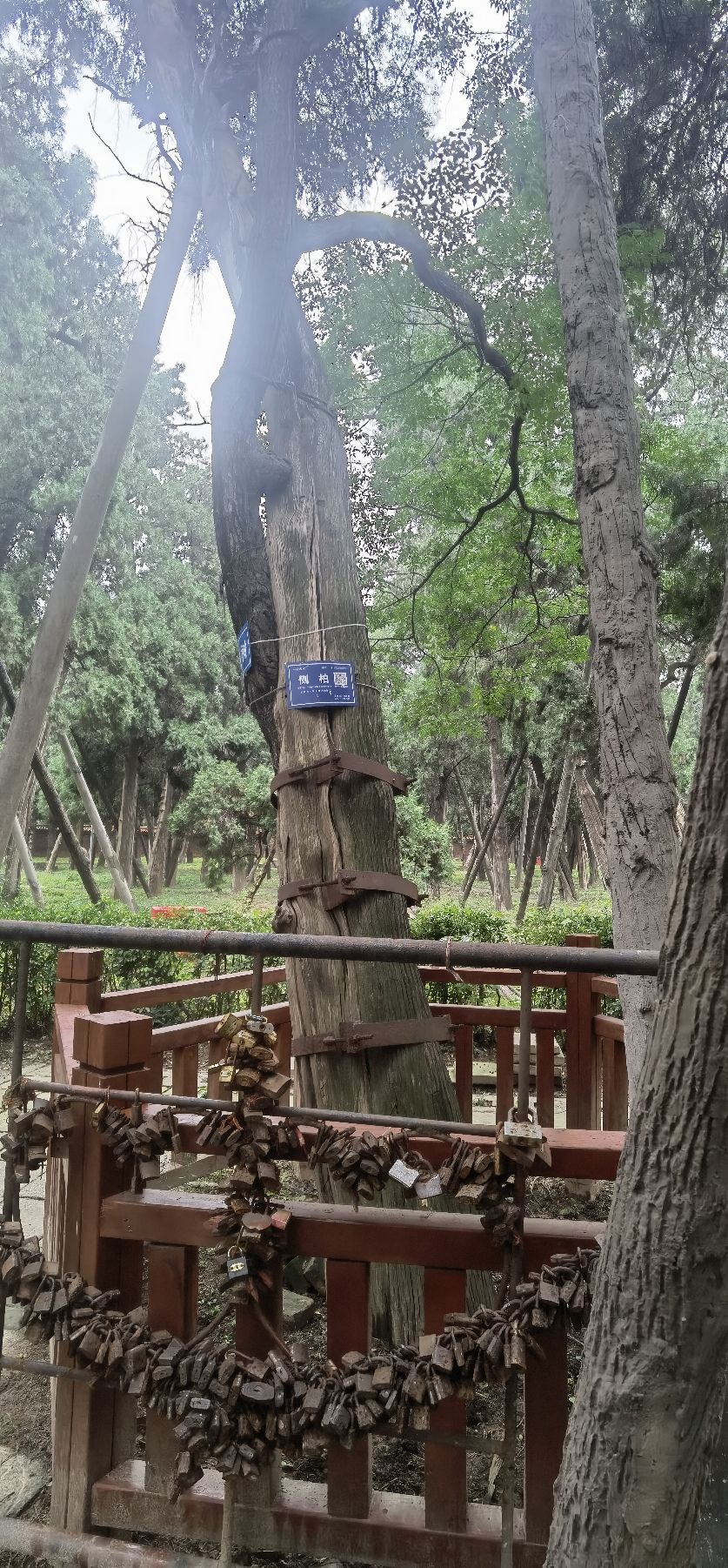 汉光武帝陵旅行图片 1
