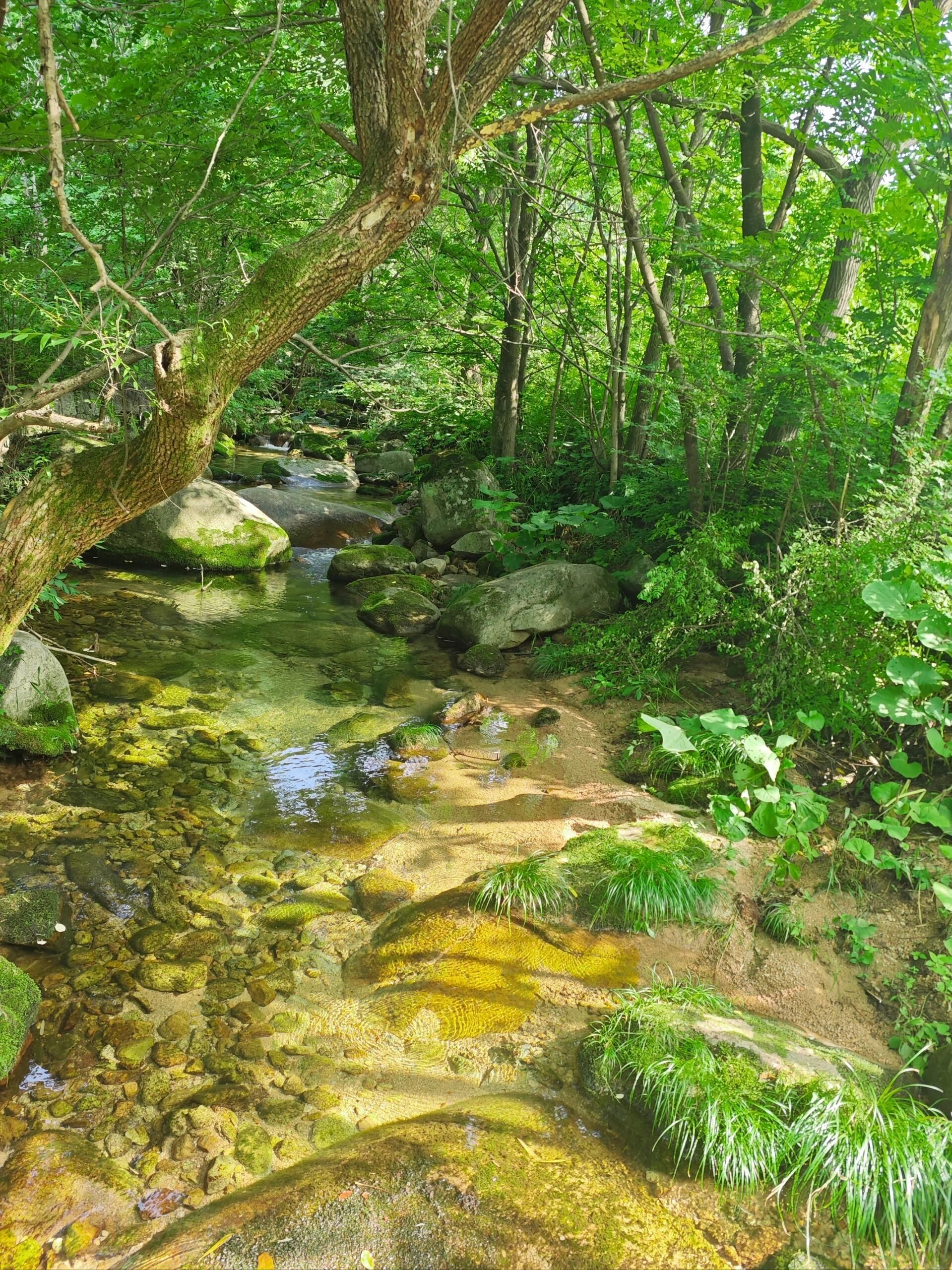 养子沟风景区旅行图片 2