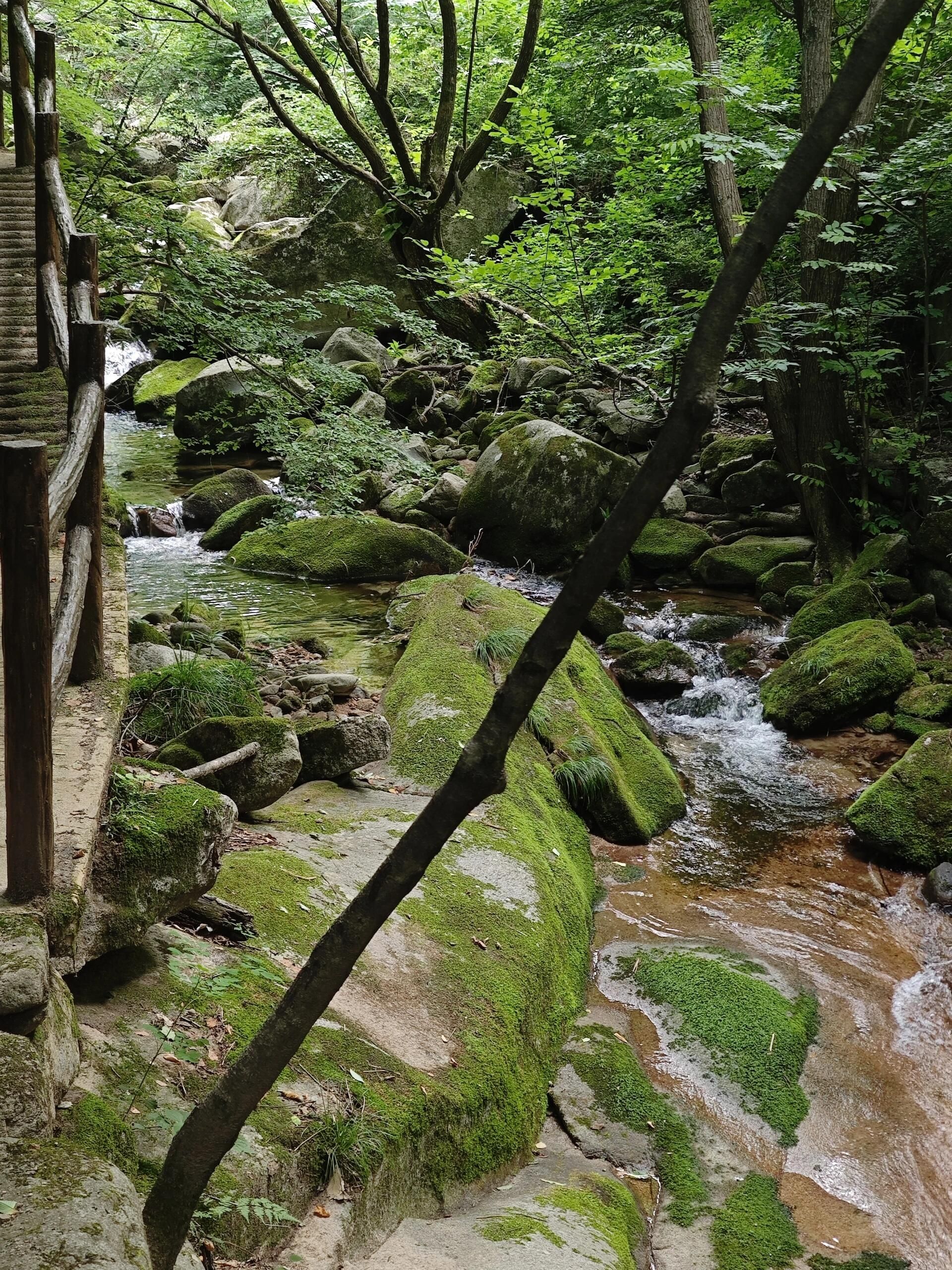 养子沟风景区旅行图片 3