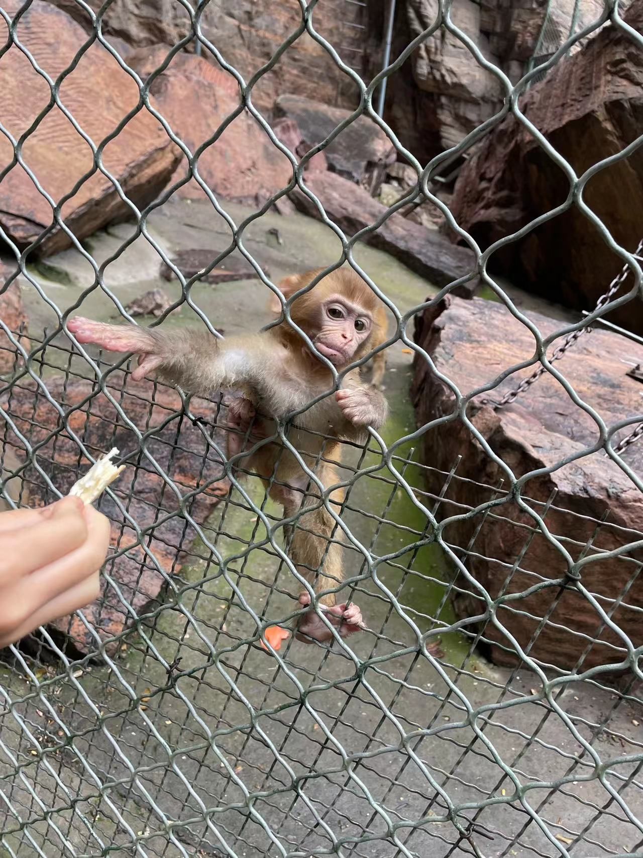 龙潭大峡谷旅行图片 1