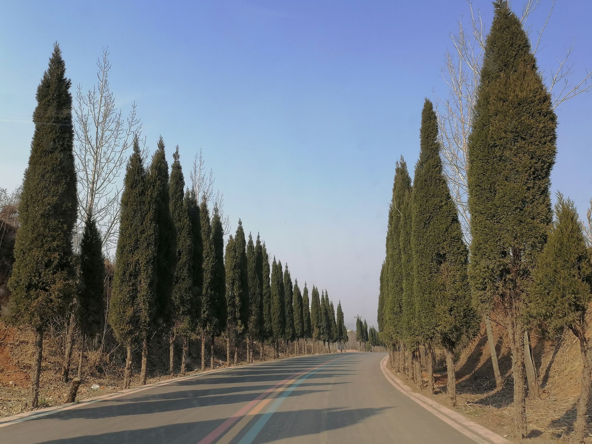 郁山国家森林公园旅行图片 2