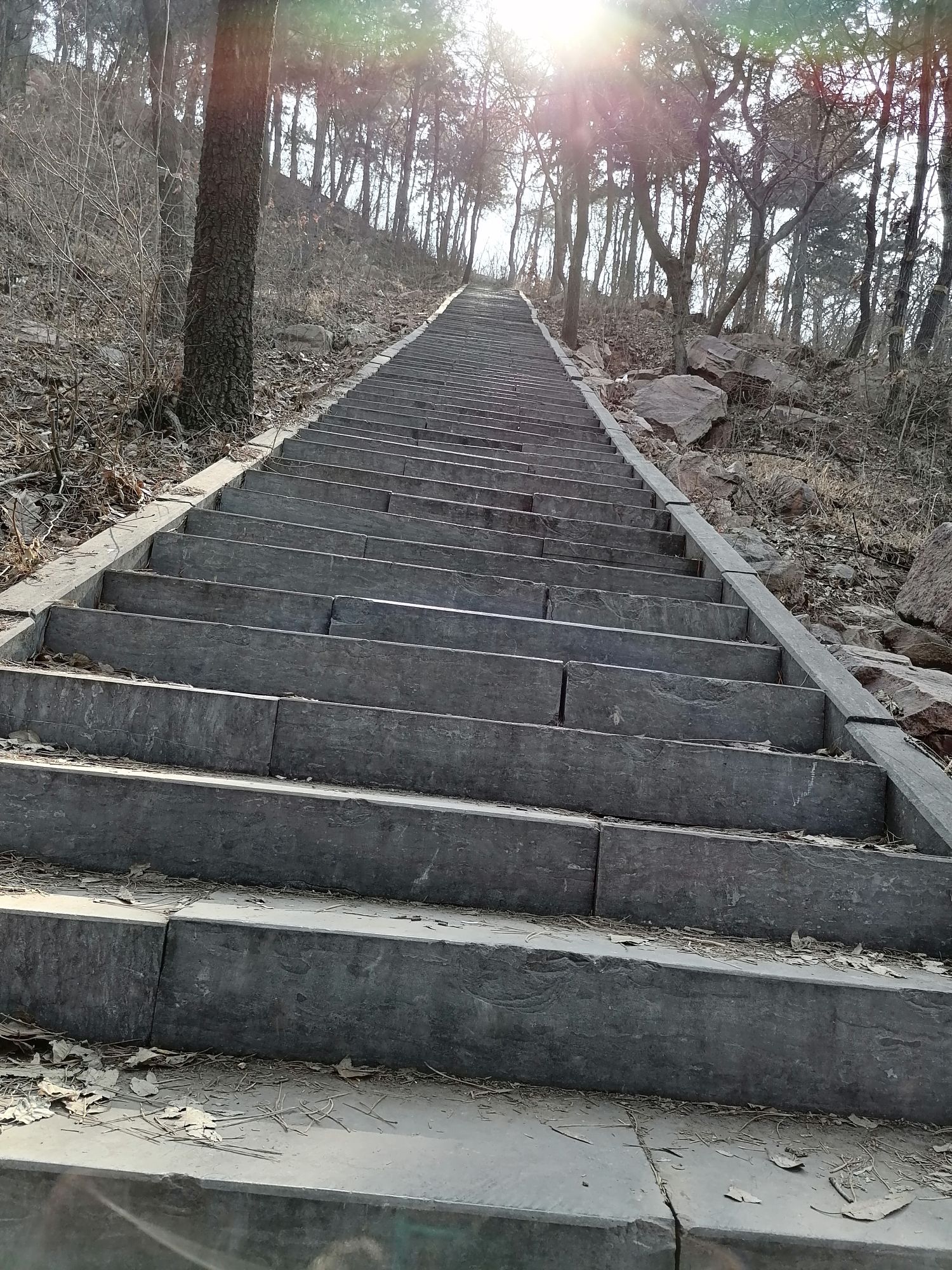 郁山国家森林公园旅行图片 3