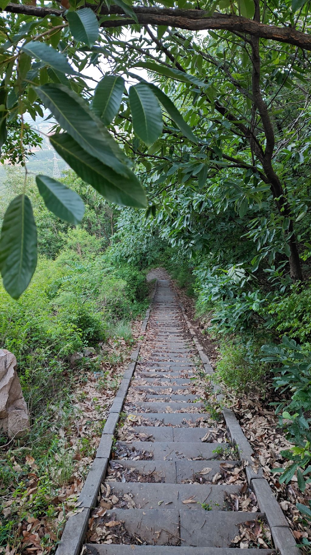 郁山国家森林公园旅行图片 1