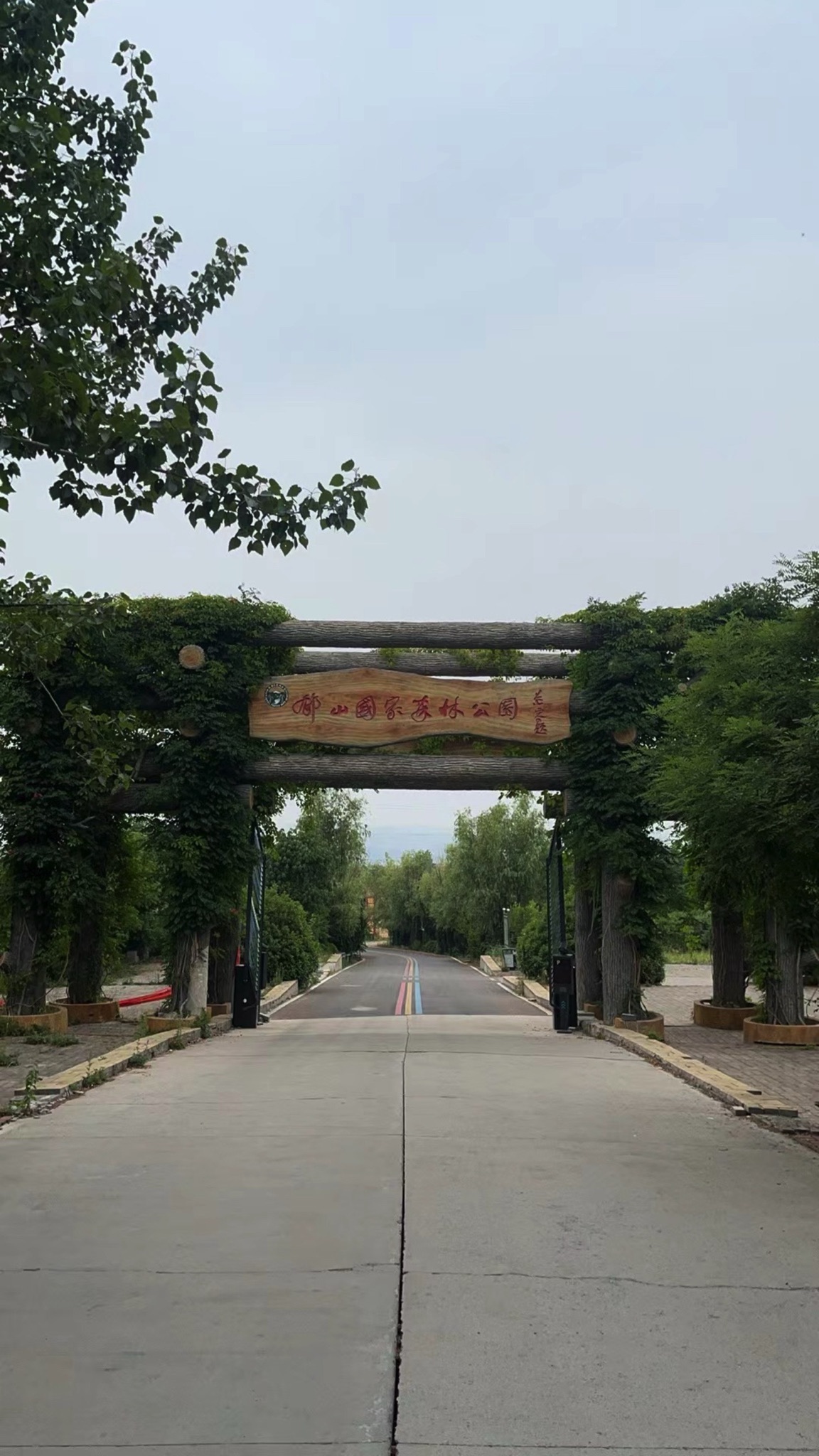 郁山国家森林公园旅行图片 1