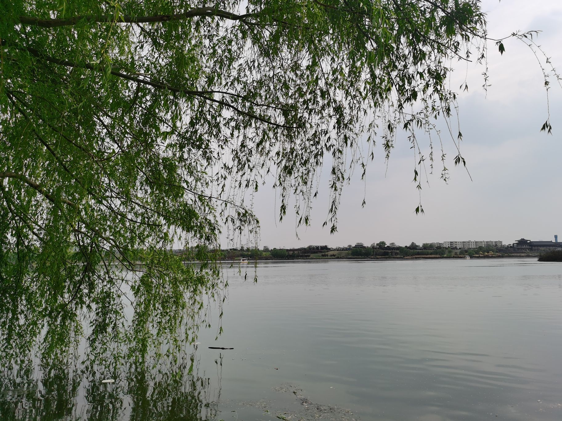 丝绸之路公园旅行图片 1