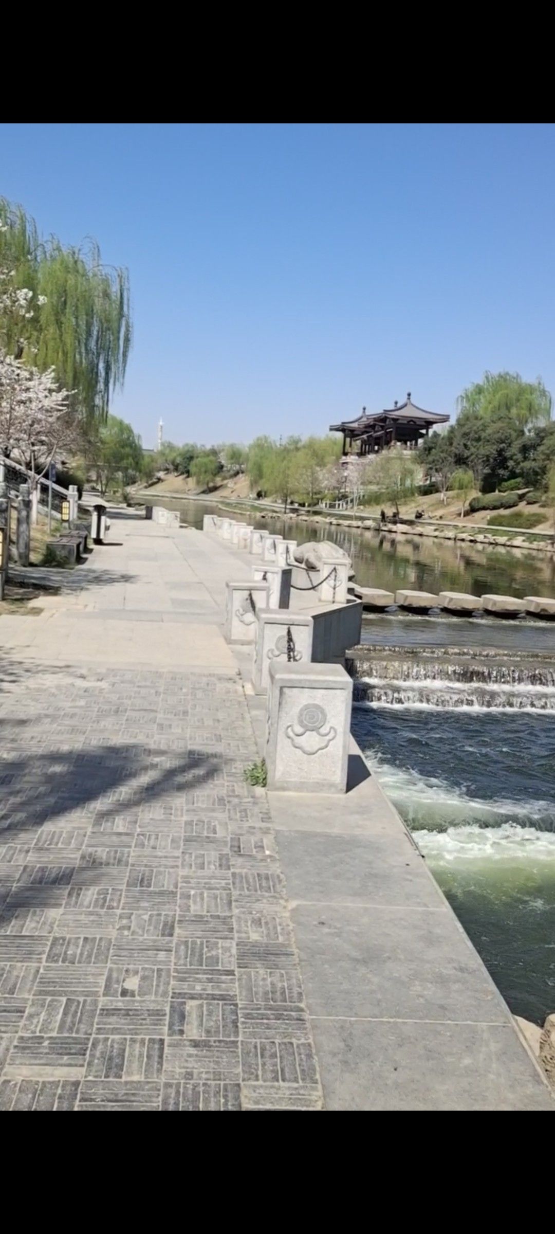 丝绸之路公园旅行图片 3