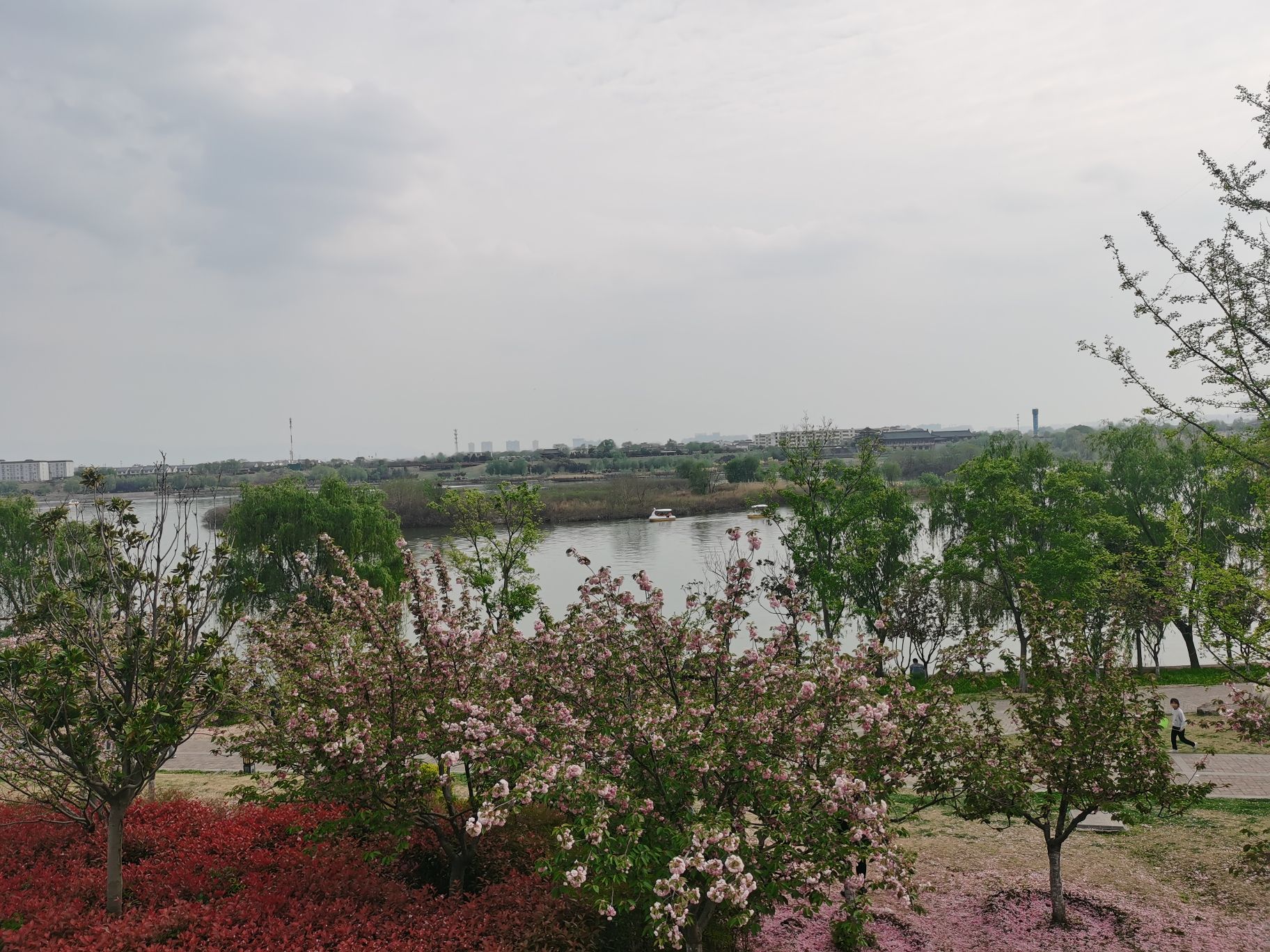 丝绸之路公园旅行图片 3