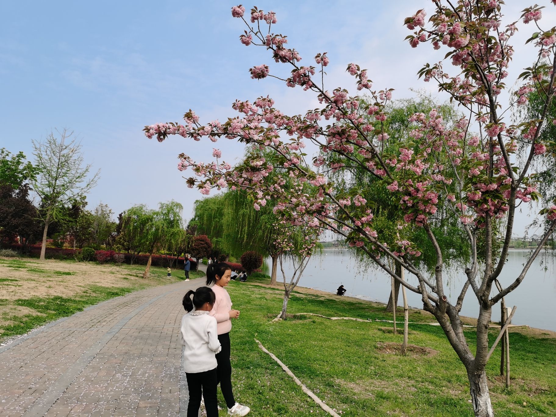 丝绸之路公园旅行图片 2