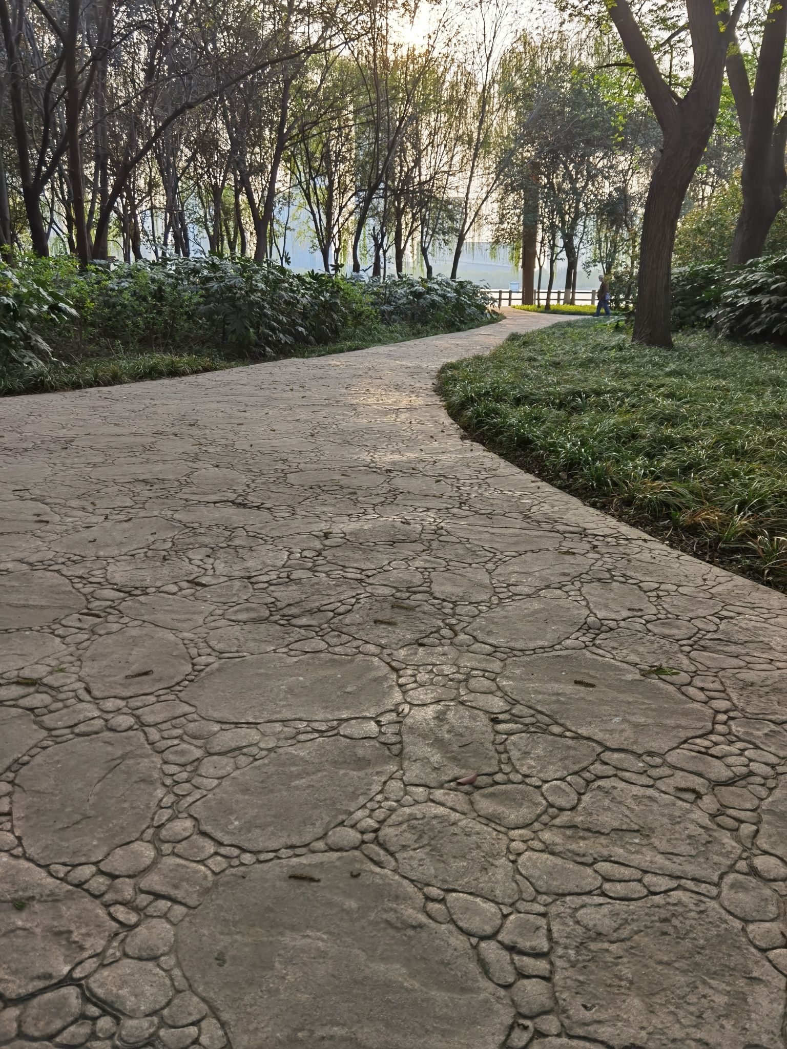 体育公园旅行图片 3