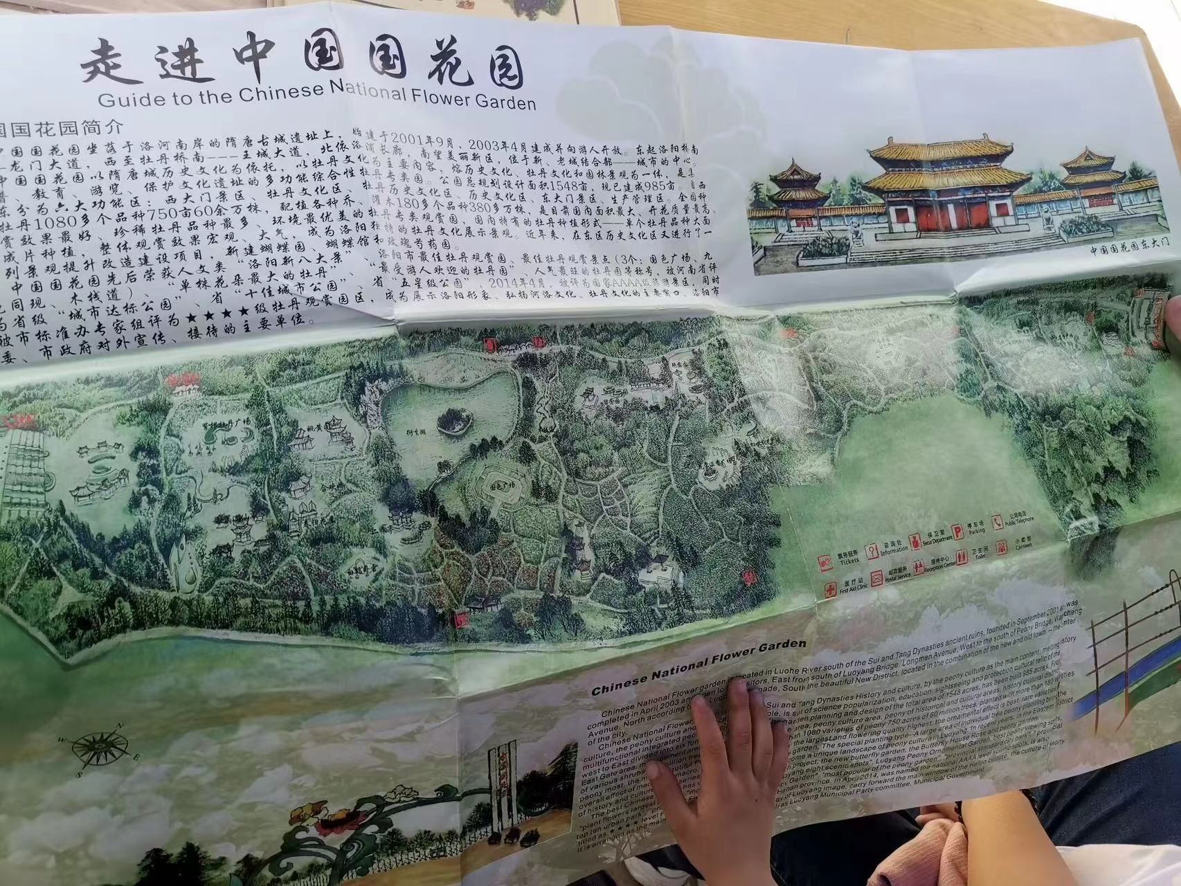 中国国花园旅行图片 1
