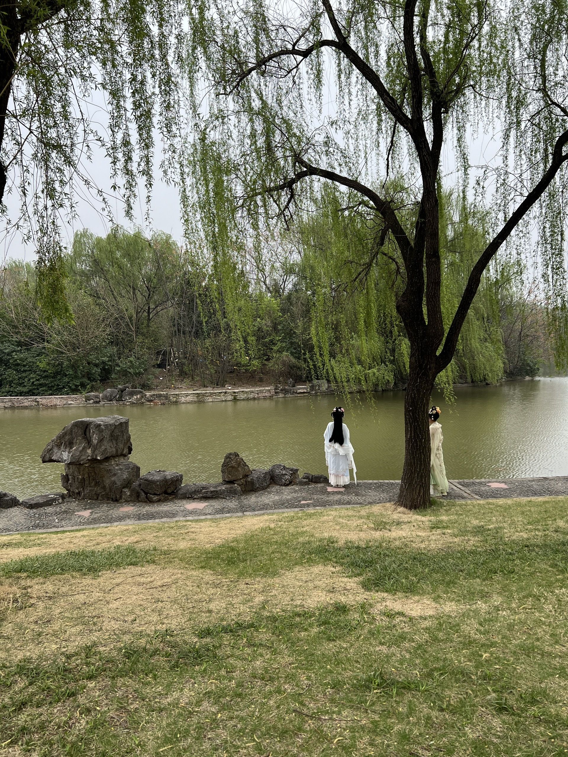 中国国花园旅行图片 2