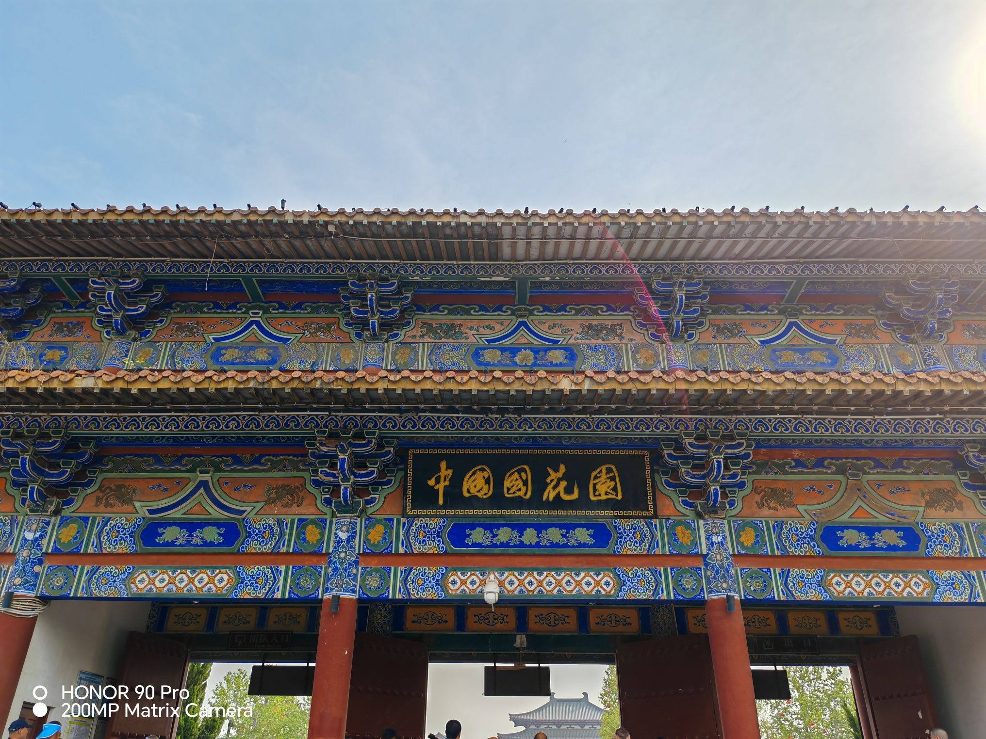 中国国花园旅行图片 2
