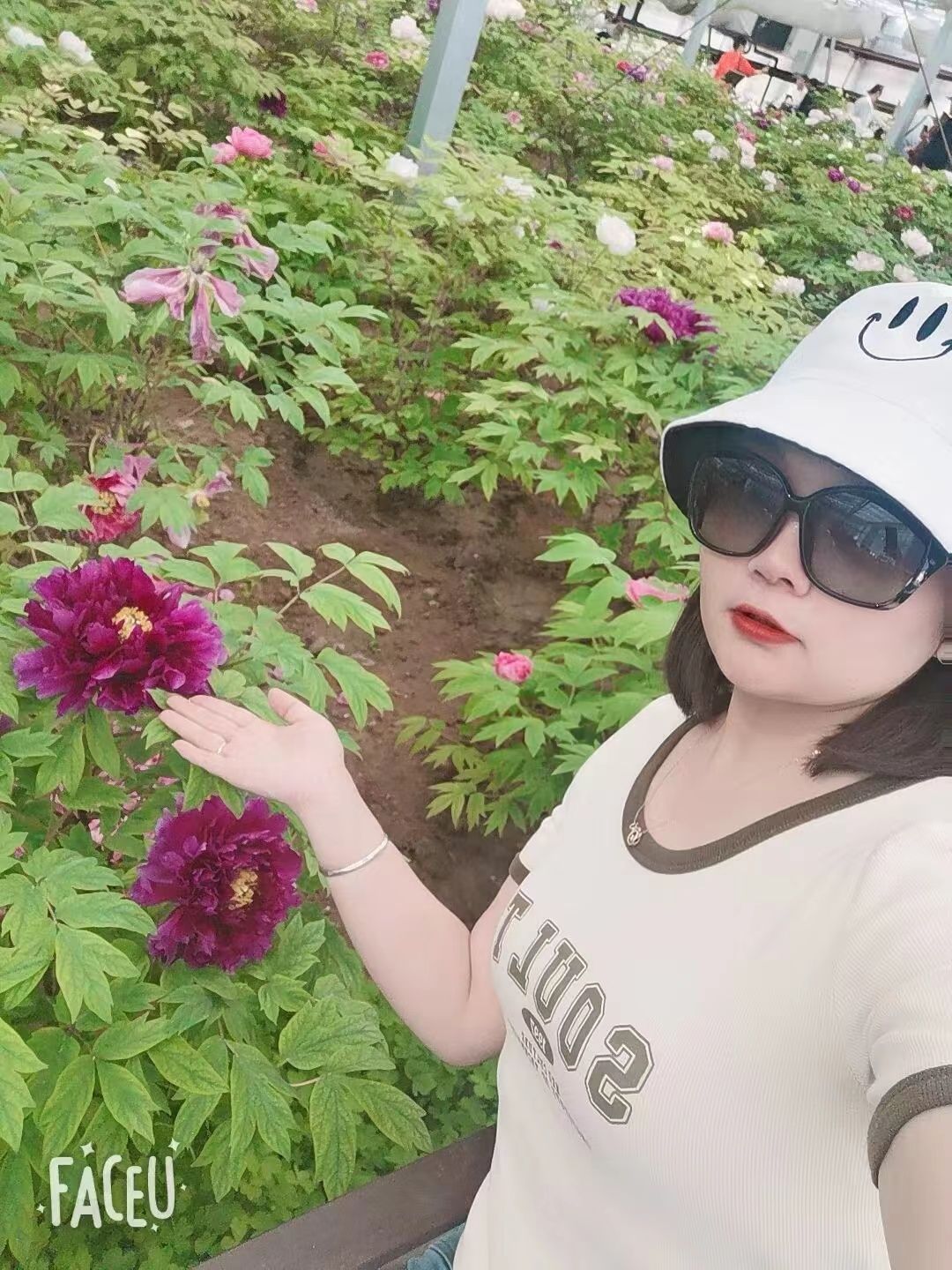 中国国花园旅行图片 2