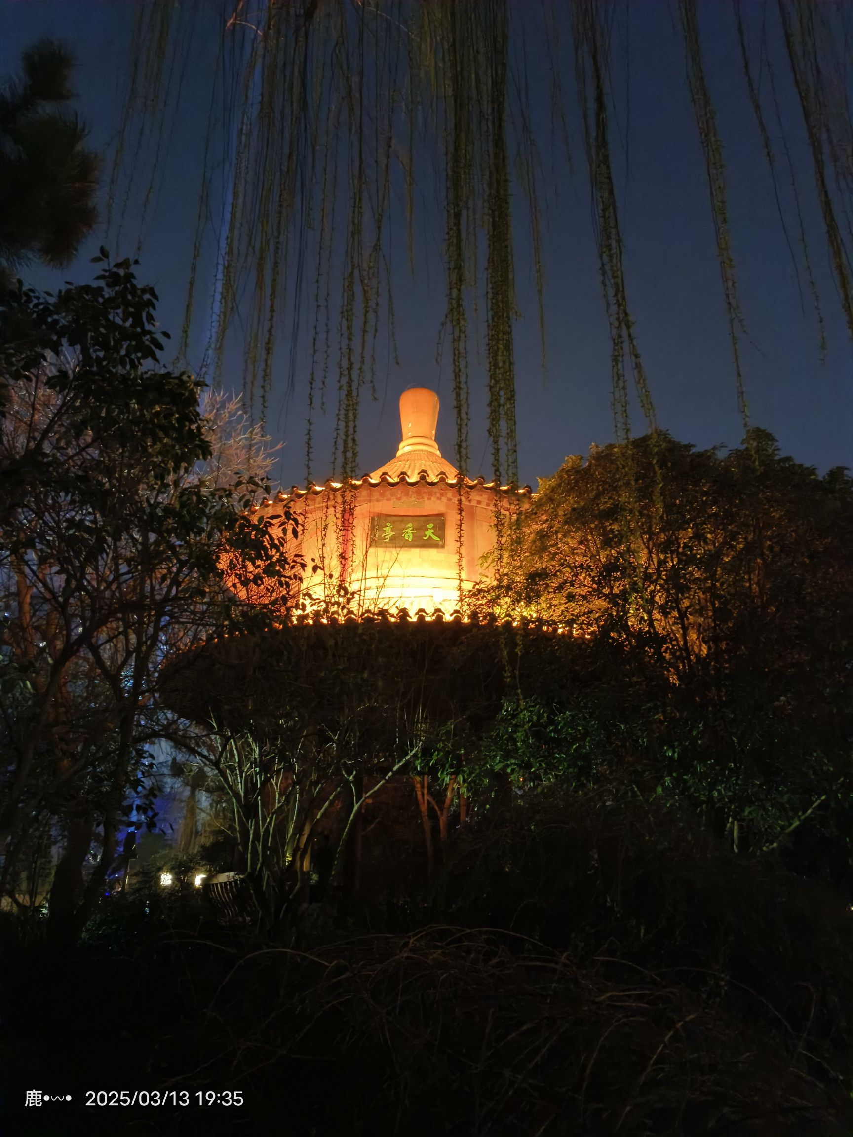 西苑公园旅行图片 1