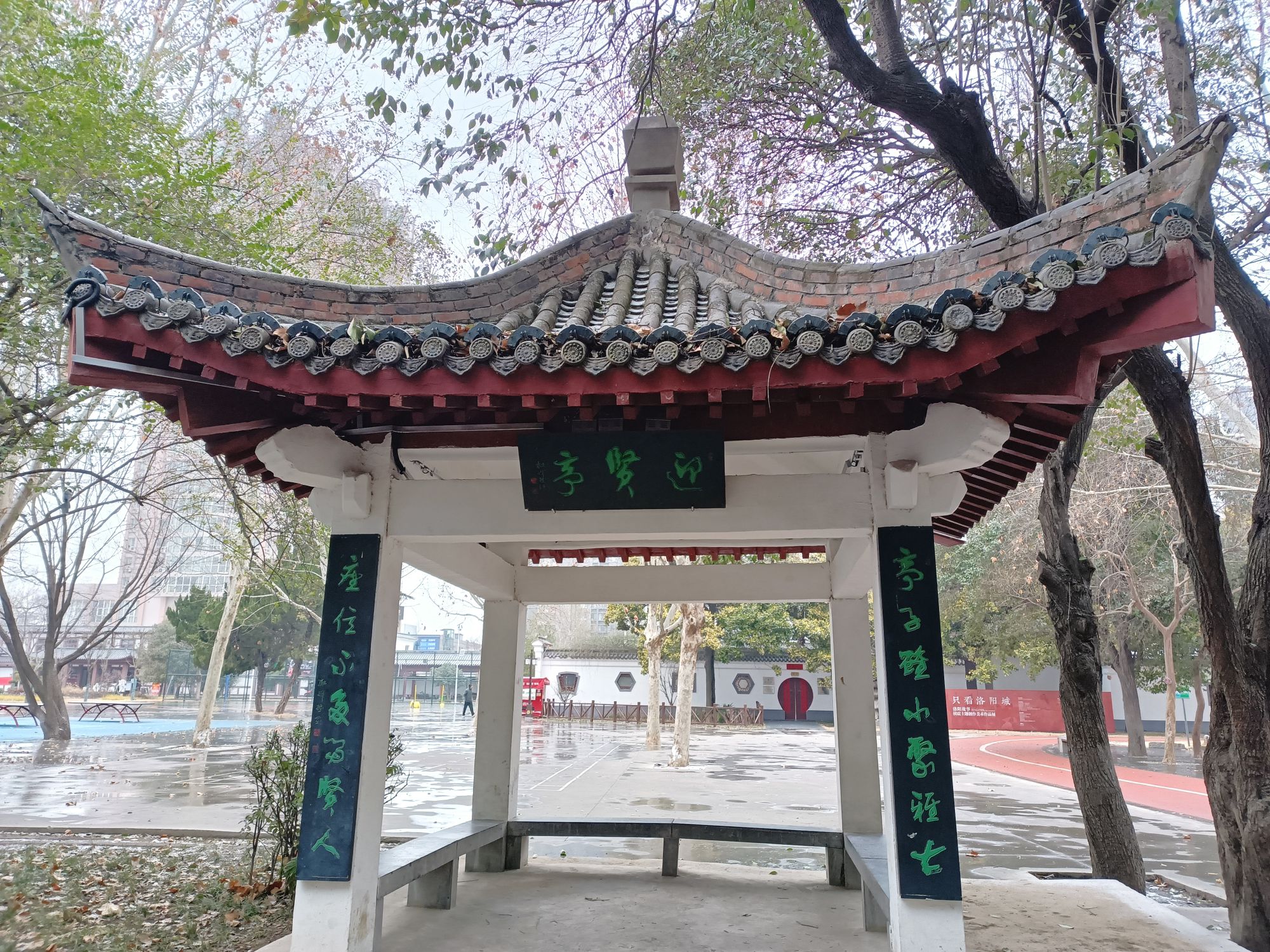西苑公园旅行图片 2