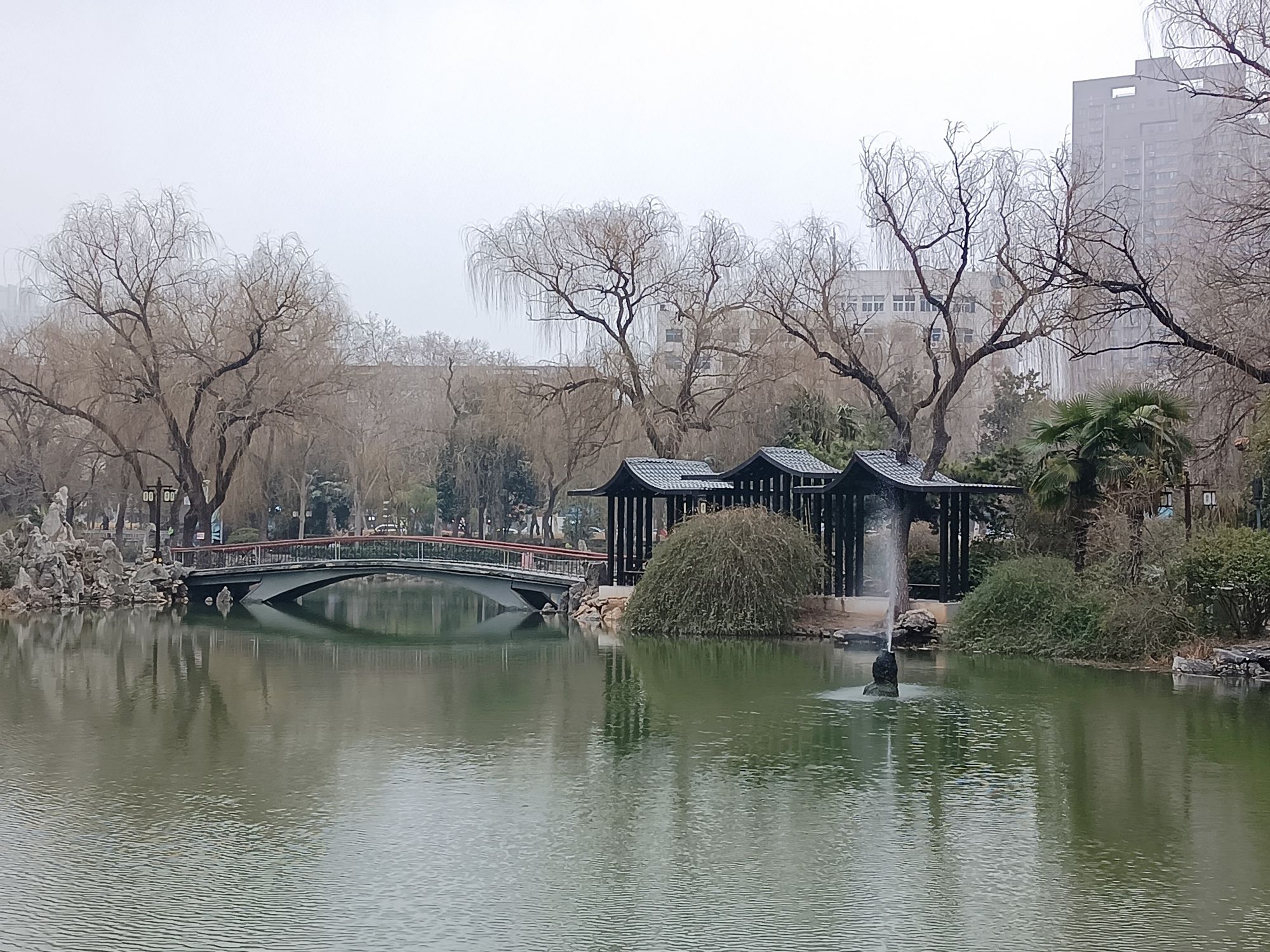 西苑公园旅行图片 3
