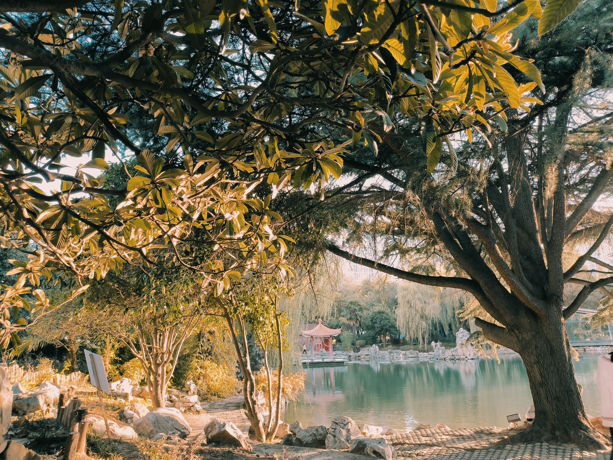西苑公园旅行图片 2