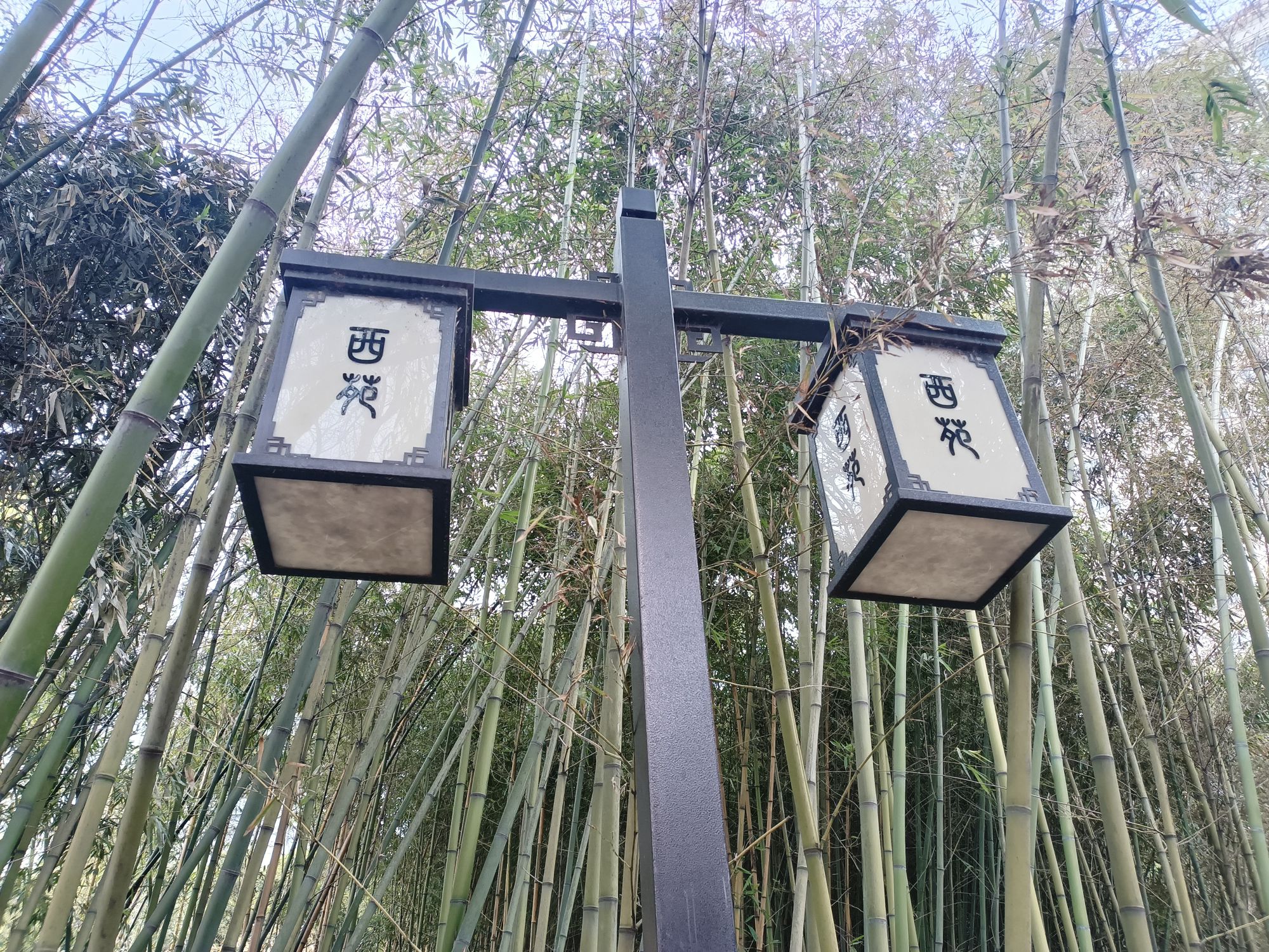西苑公园旅行图片 1