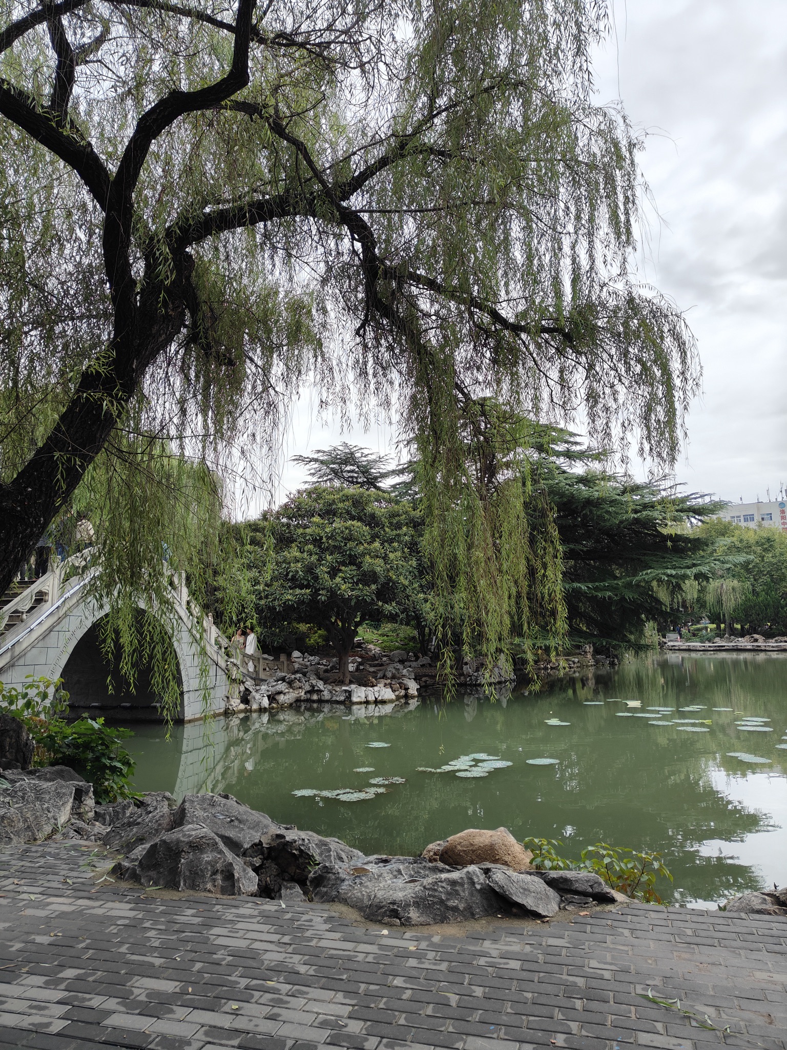 西苑公园旅行图片 3