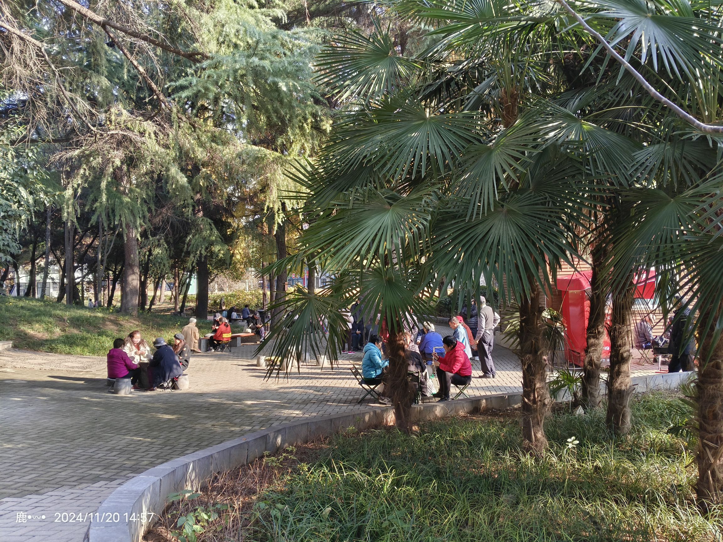 西苑公园旅行图片 3