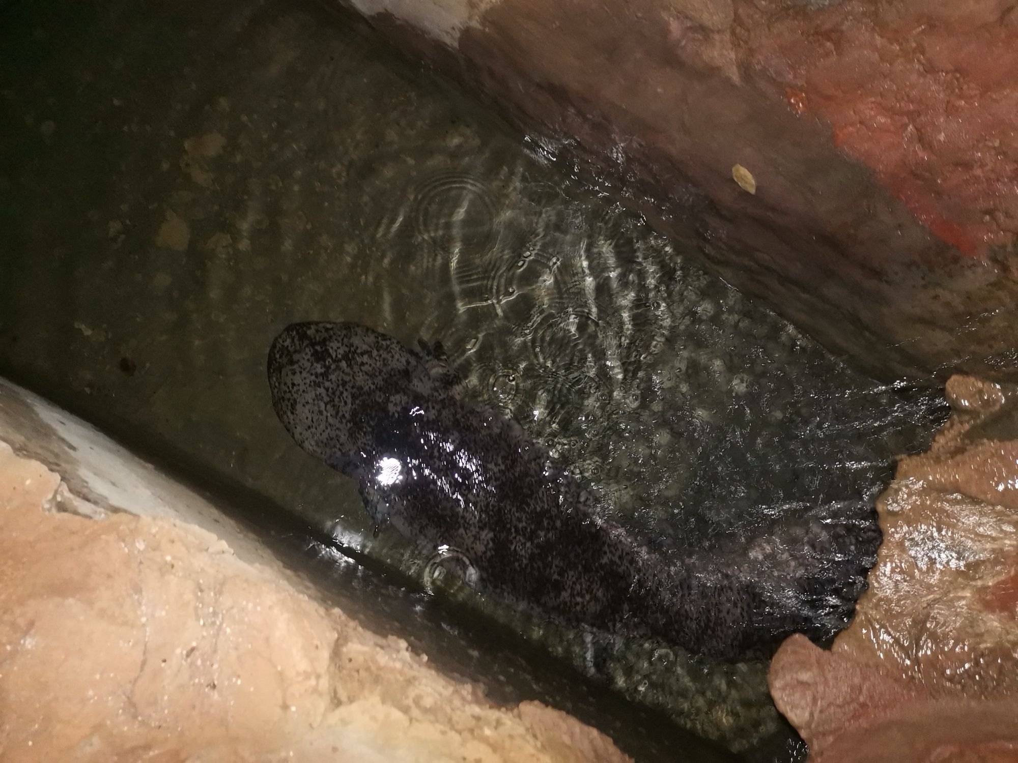 洛阳龙门海洋馆旅行图片 3