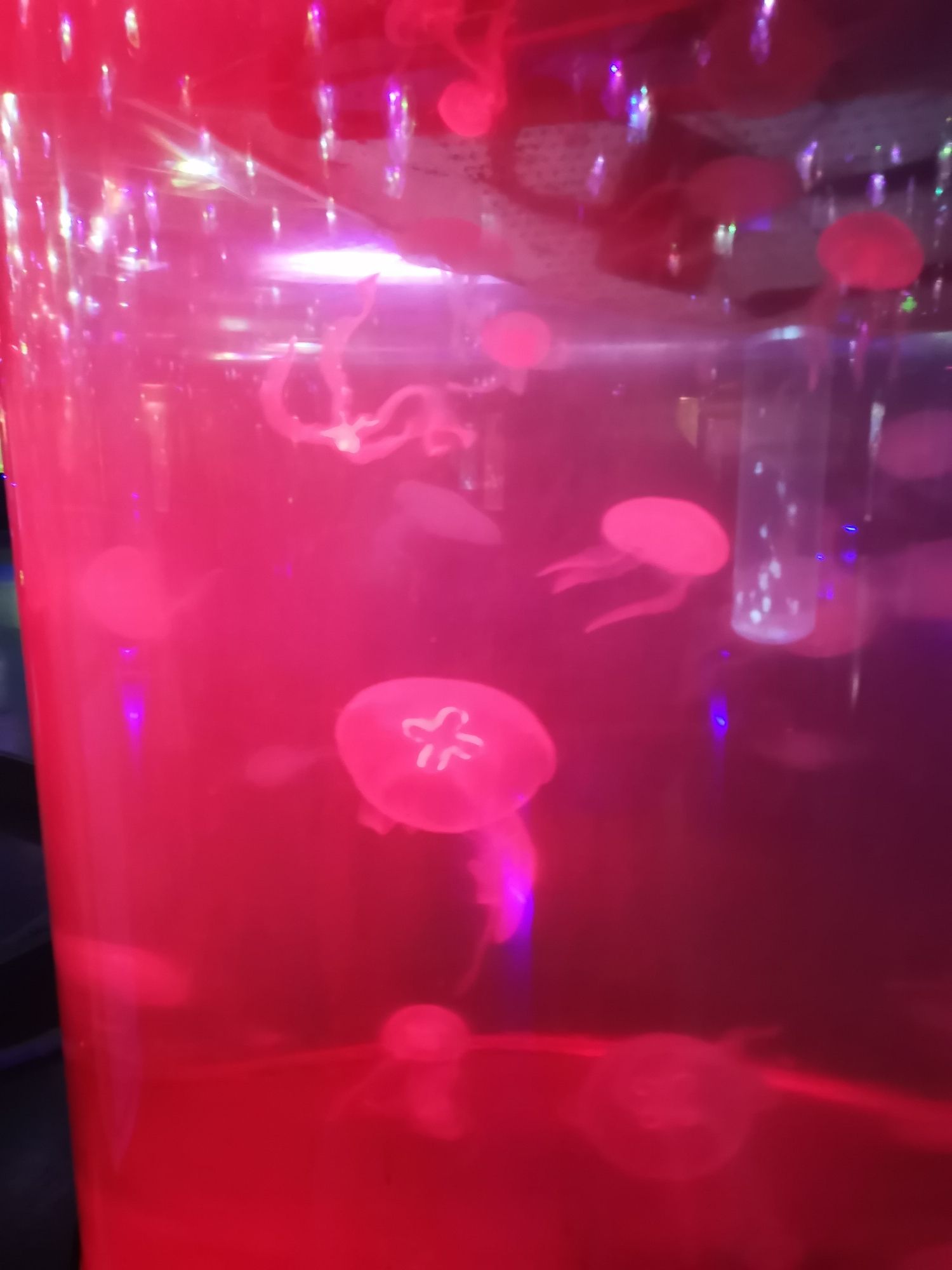 洛阳龙门海洋馆旅行图片 2