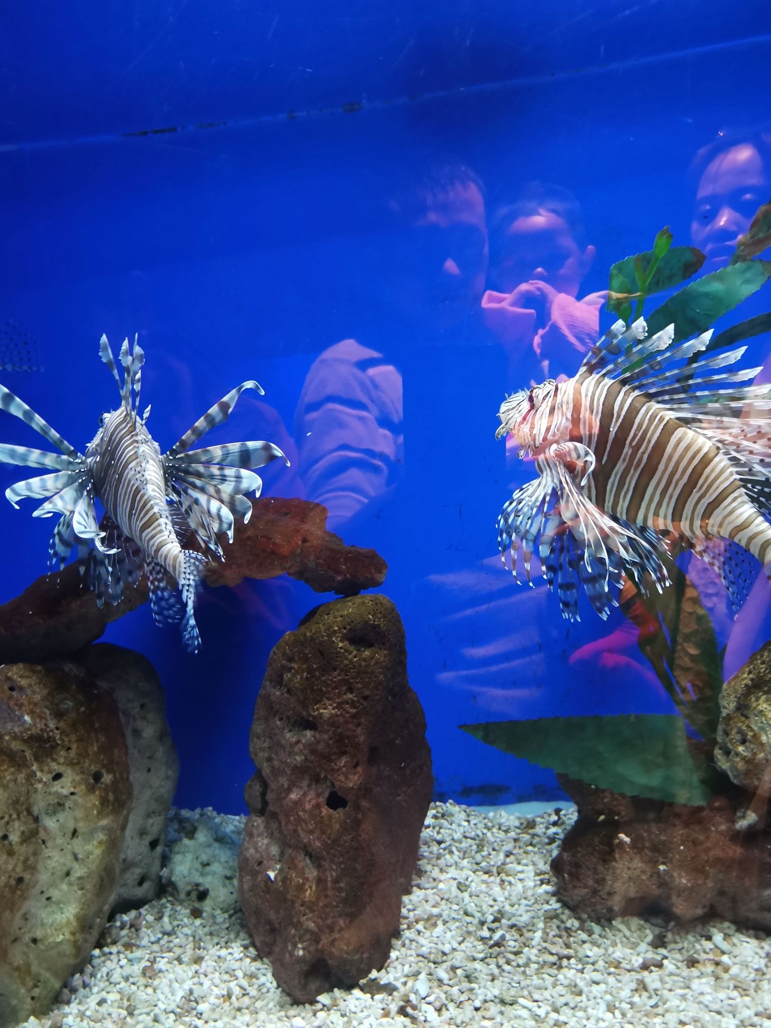 洛阳龙门海洋馆旅行图片 1