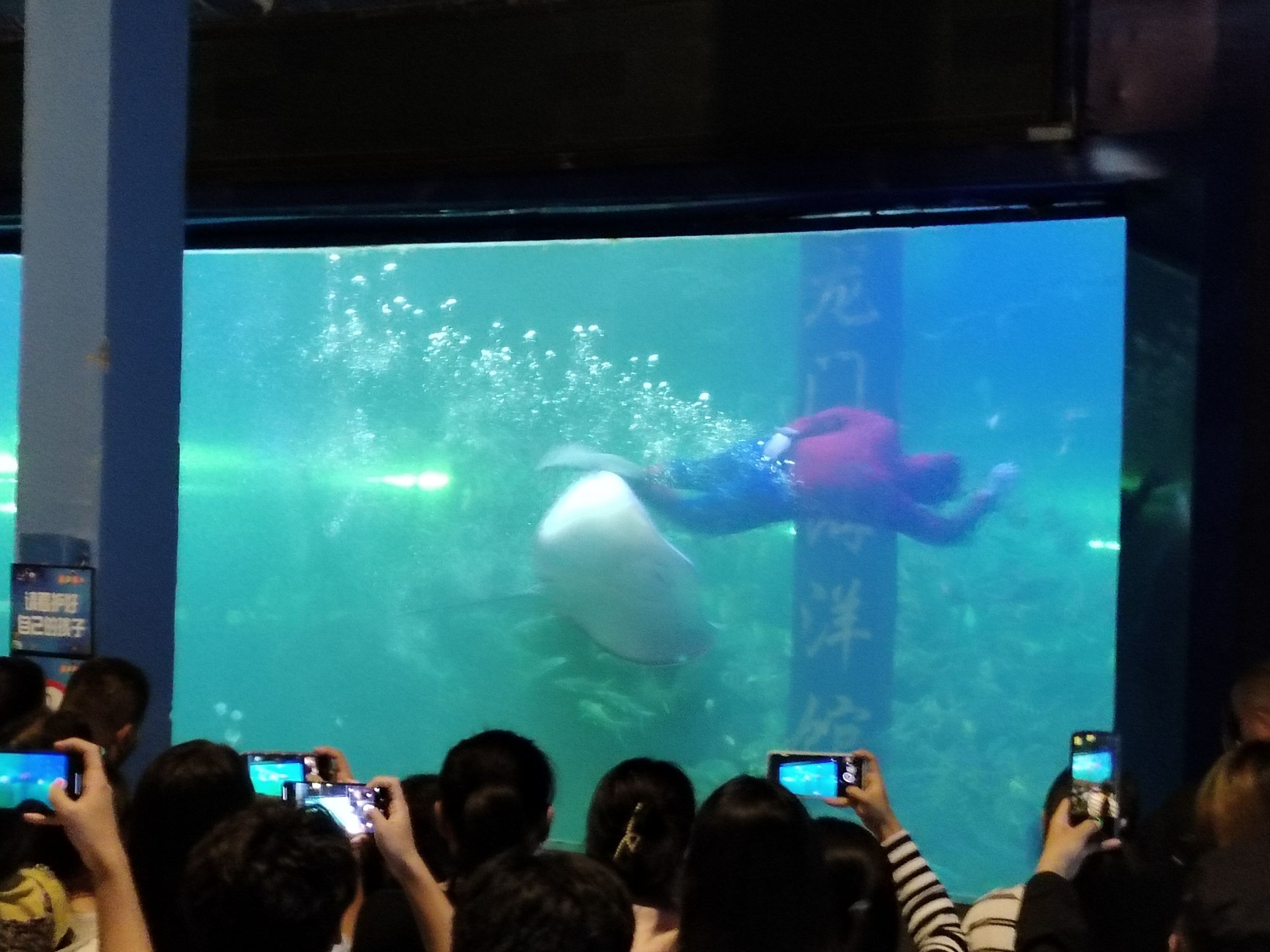 洛阳龙门海洋馆旅行图片 3
