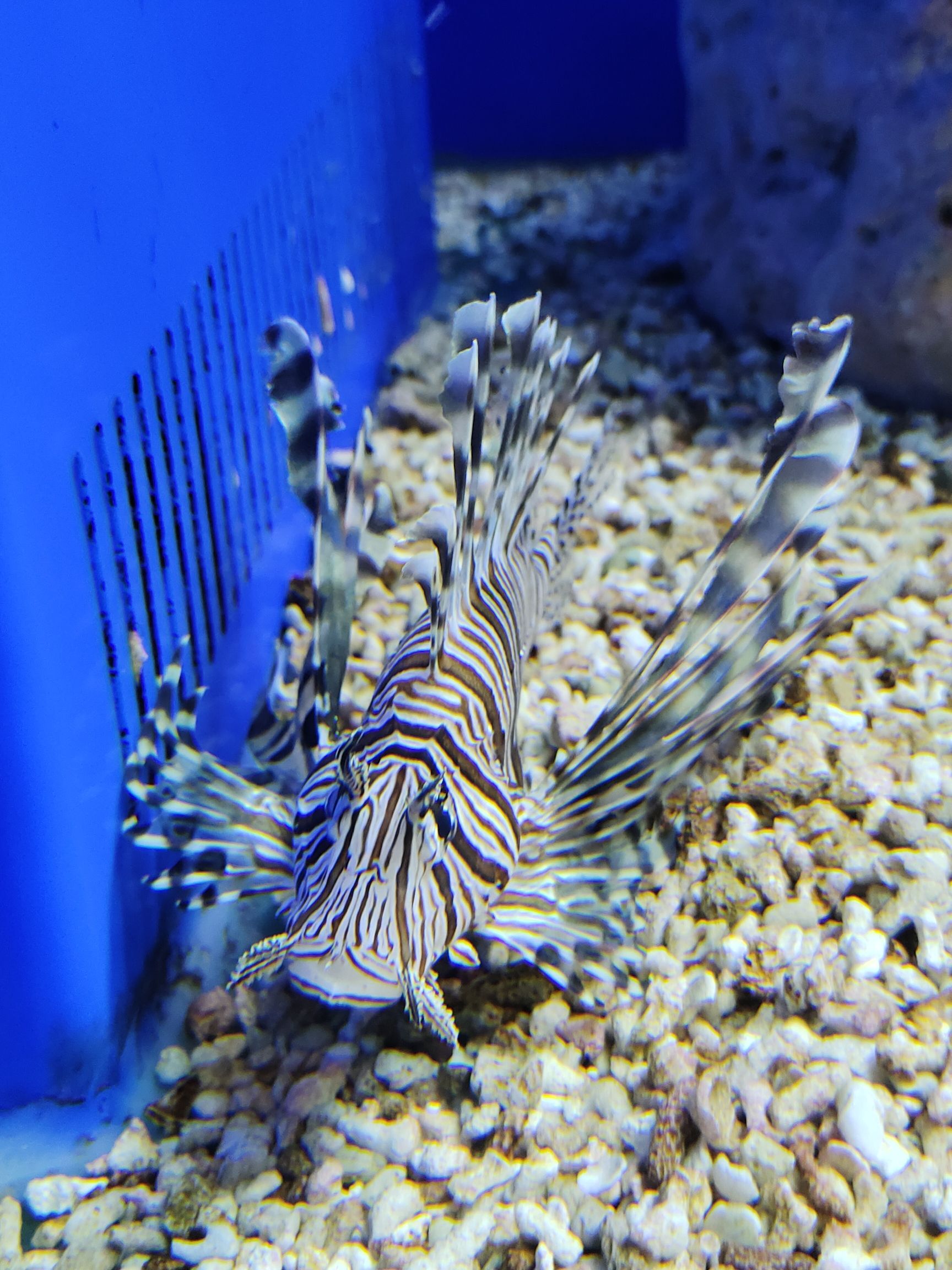 洛阳龙门海洋馆旅行图片 1