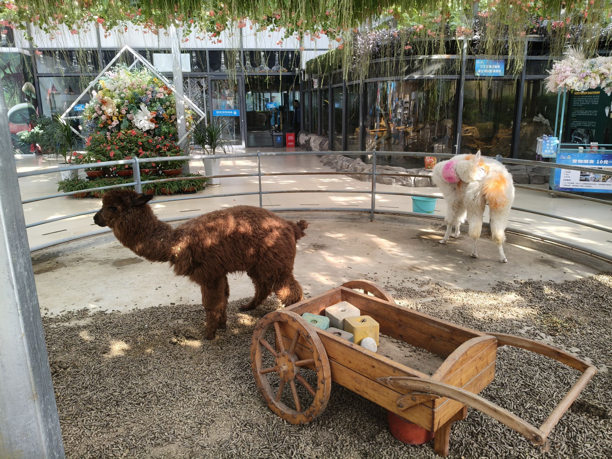 洛阳龙门海洋馆旅行图片 1